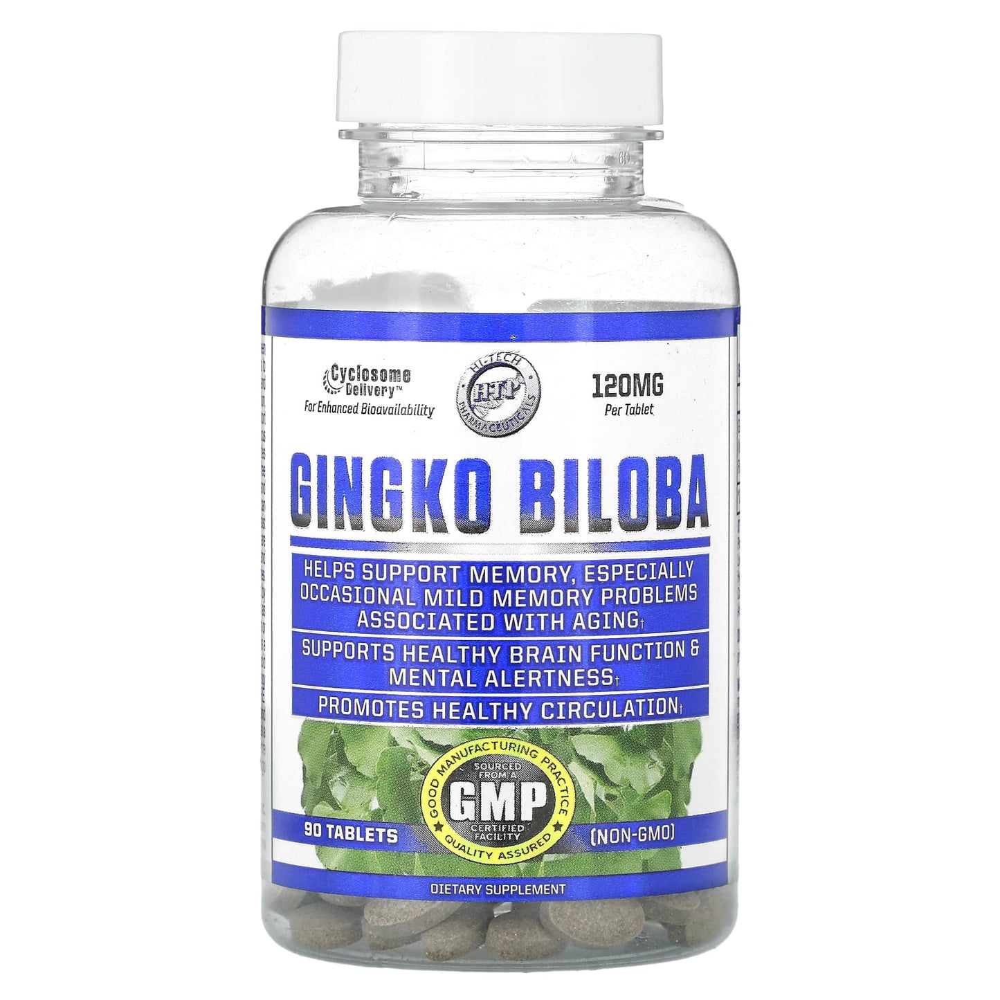 Ginkgo Biloba Memory & Brain Health Supplement 120mg, 90 Tablets - Image 1