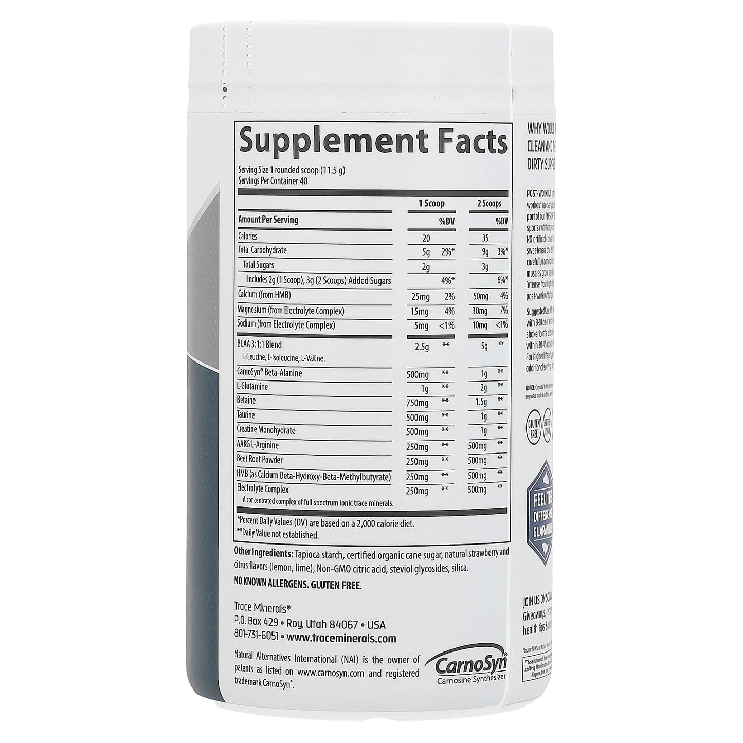 Trace, TM Sport, Clean Post Workout, Strawberry Lemonade, 1.01 lbs (460 g) - Image 2