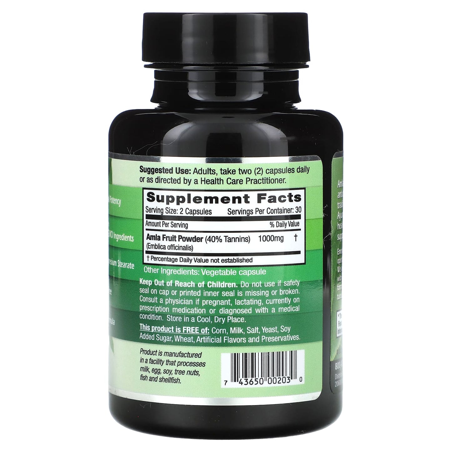 Amla Fruit Dietary Supplement | Antioxidant-Rich, Vegan Formula - Image 2