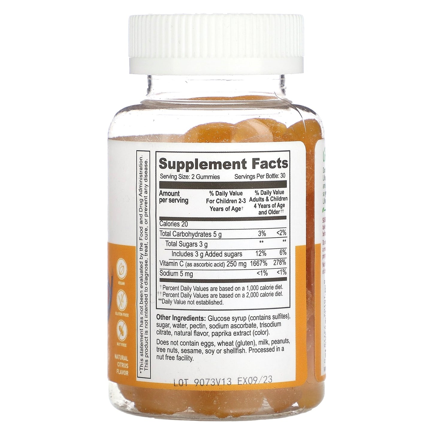 Lifeable, Kids Vitamin C Gummies, Natural Citrus, 60 Gummies (125 mg per Gummy) - Image 2
