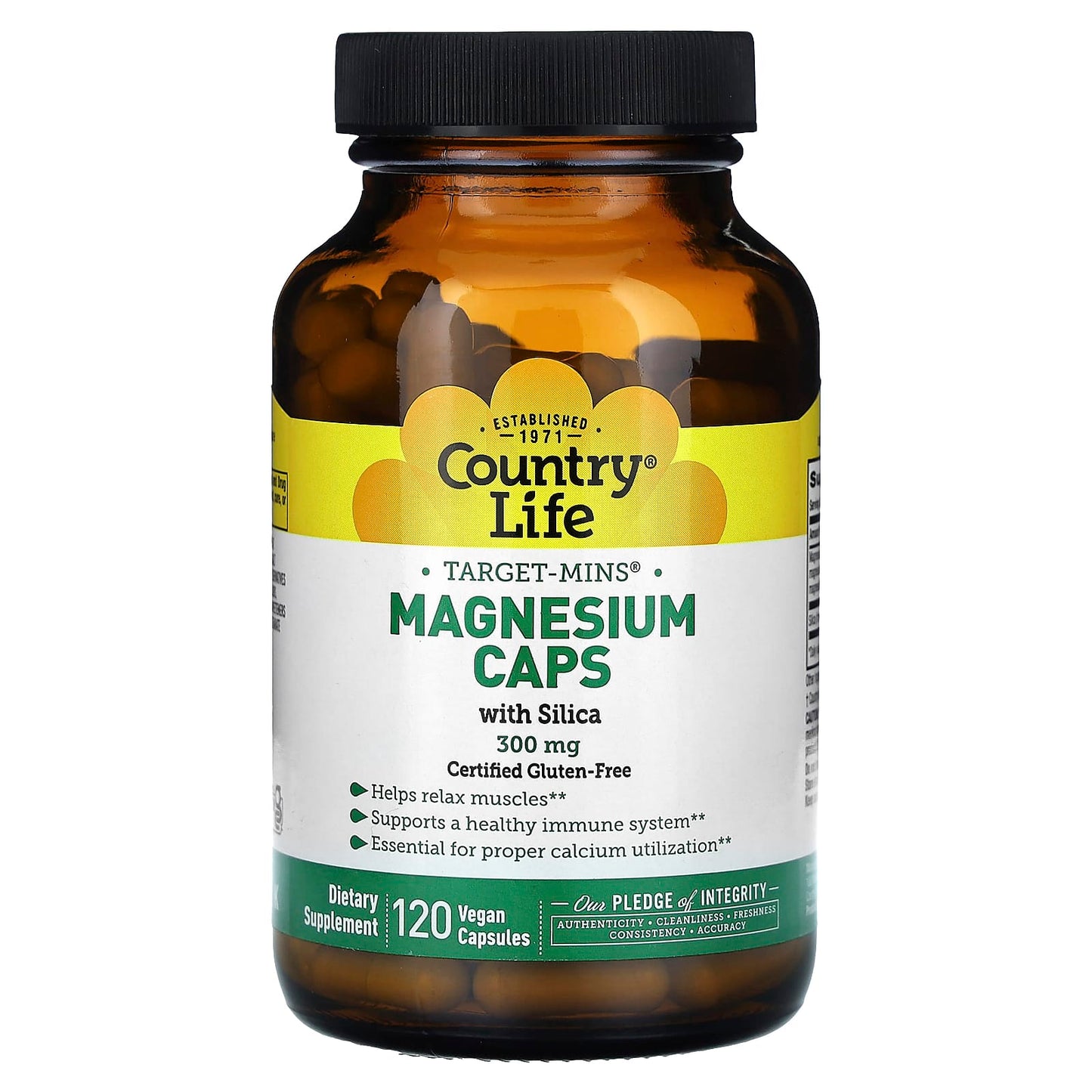 Country Life Target-Mins Magnesium Caps with Silica, 300mg, 120 Vegan Capsules - Image 1