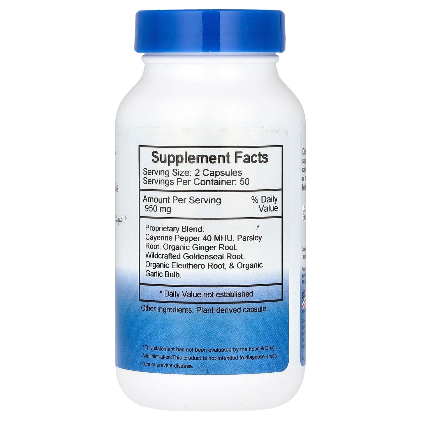 Christopher's Original Formulas, Blood Circ Formula, 950 mg, 100 Vegetarian Caps (475 mg per Capsule)