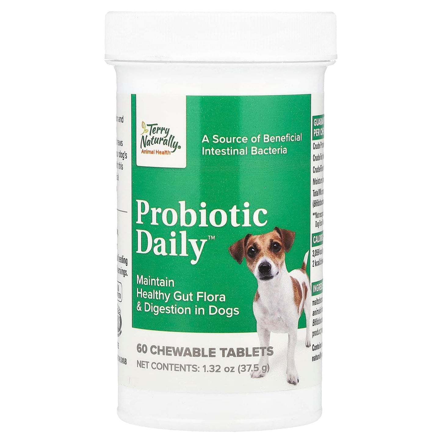 Terry Naturally, Probiotic Daily™, For Dogs, 60 Chewable Tablets, 1.32 oz (37.5 g) - Image 1