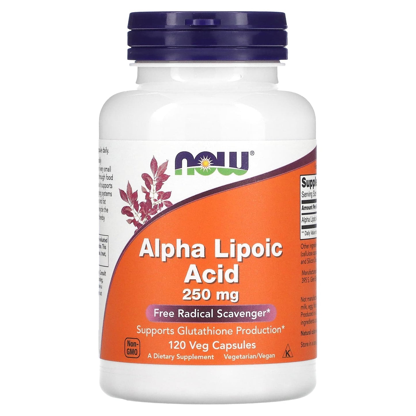 NOW Foods, Alpha Lipoic Acid, 250 mg, 120 Veg Capsules - Image 1