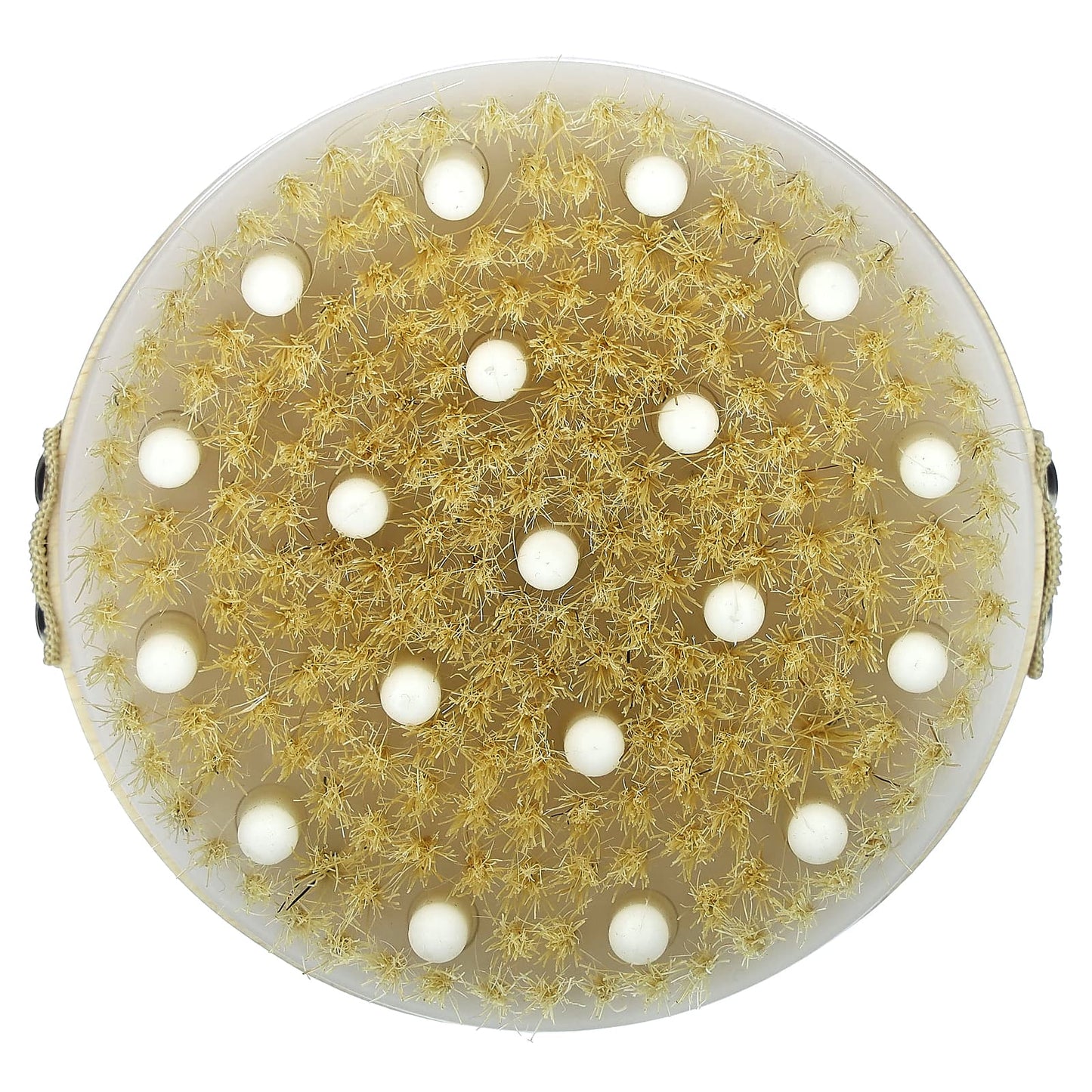 Detoxify Your Skin with AfterSpa 10cm Natural Massage Brush - Image 1