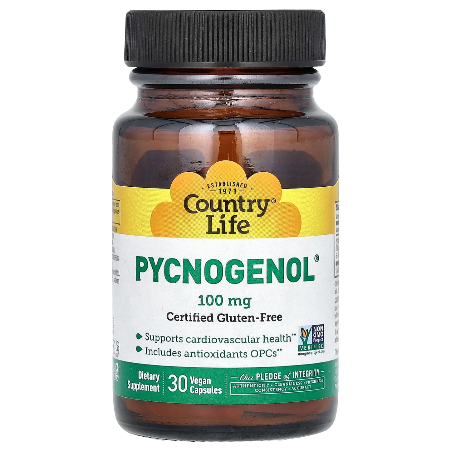 Country Life Pycnogenol 100mg - Supports Cardiovascular Health - Image 1