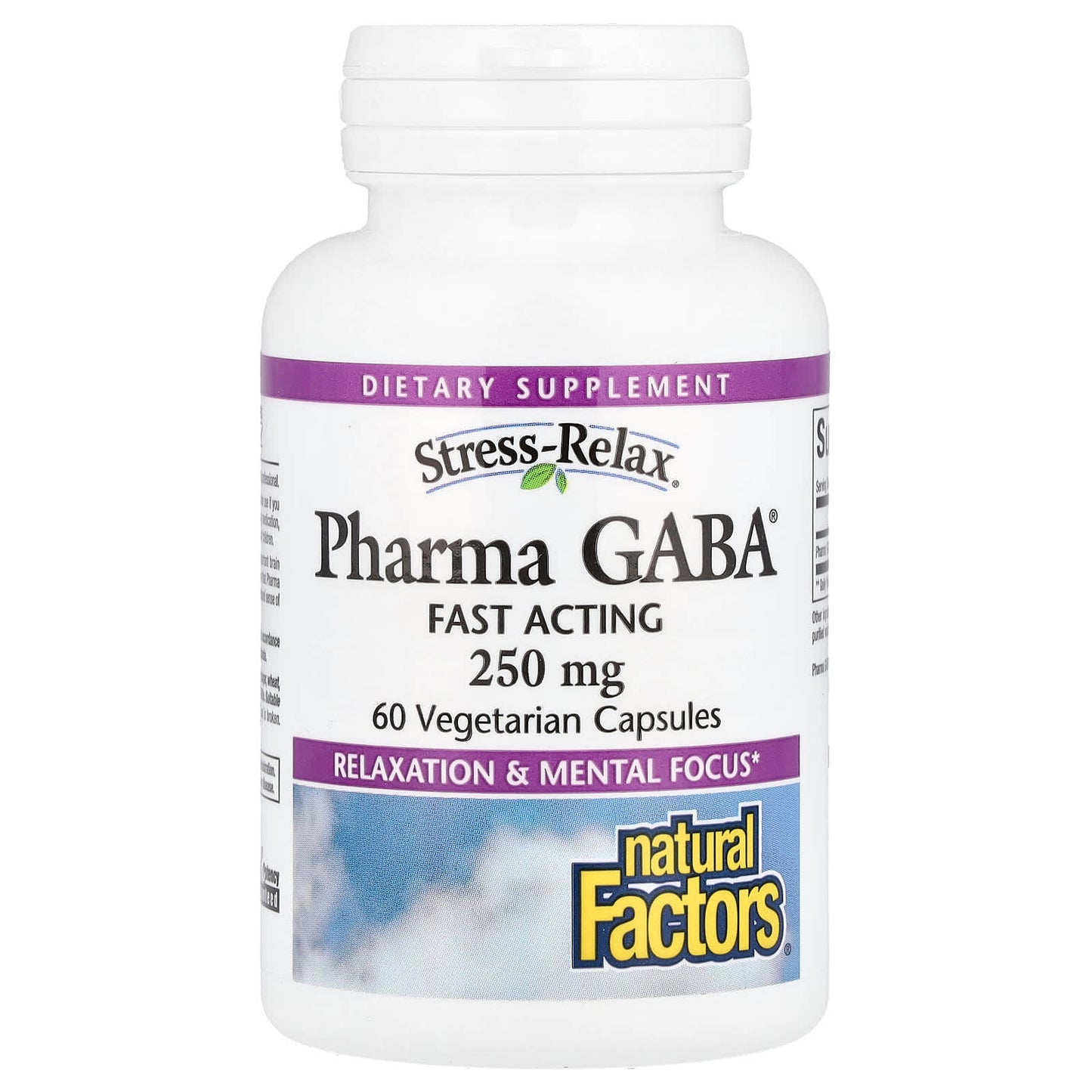 Natural Factors, Stress-Relax®, Pharma GABA®, 250 mg, 60 Vegetarian Capsules - Image 1
