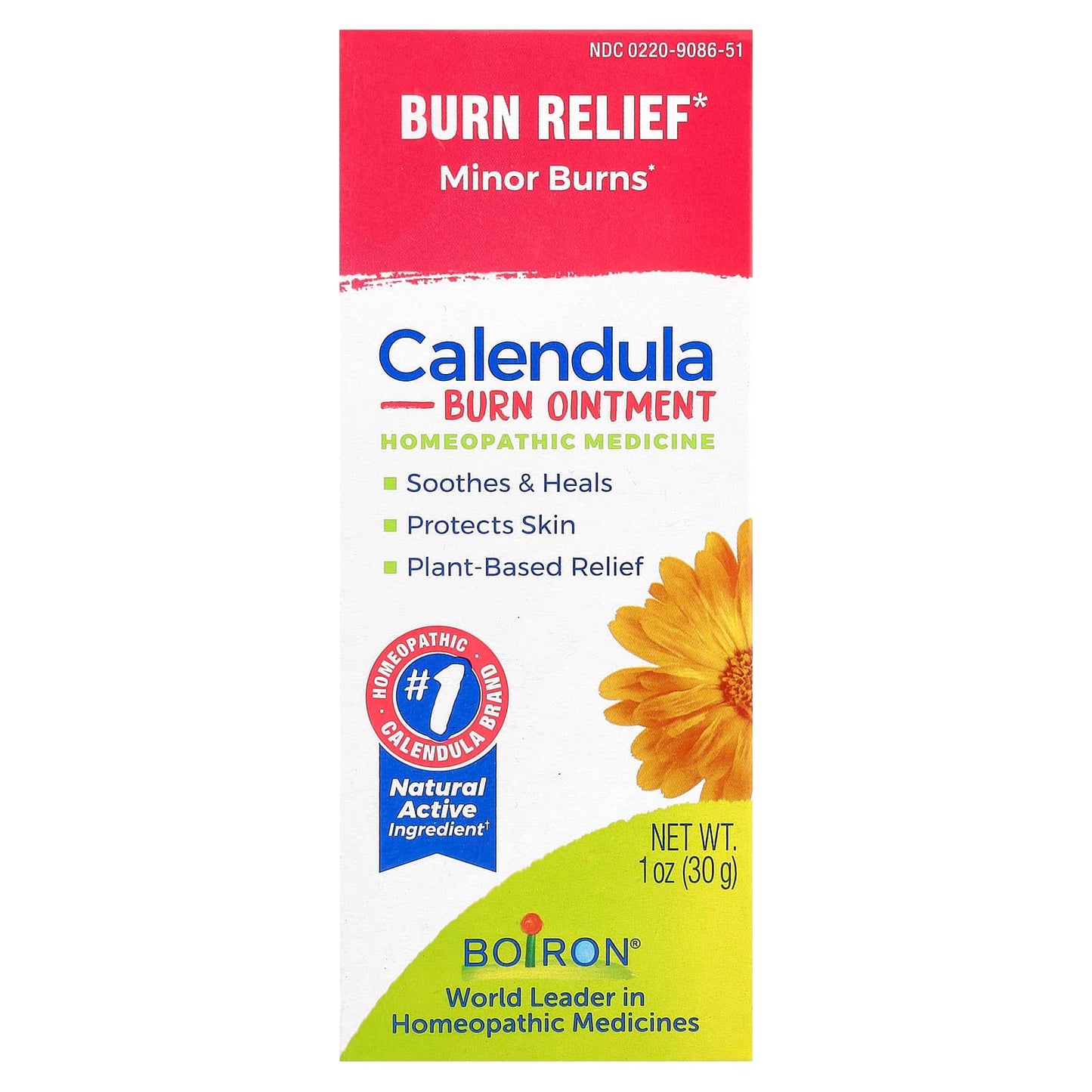 Boiron Calendula Burn Ointment for Minor Burns Relief - Image 2