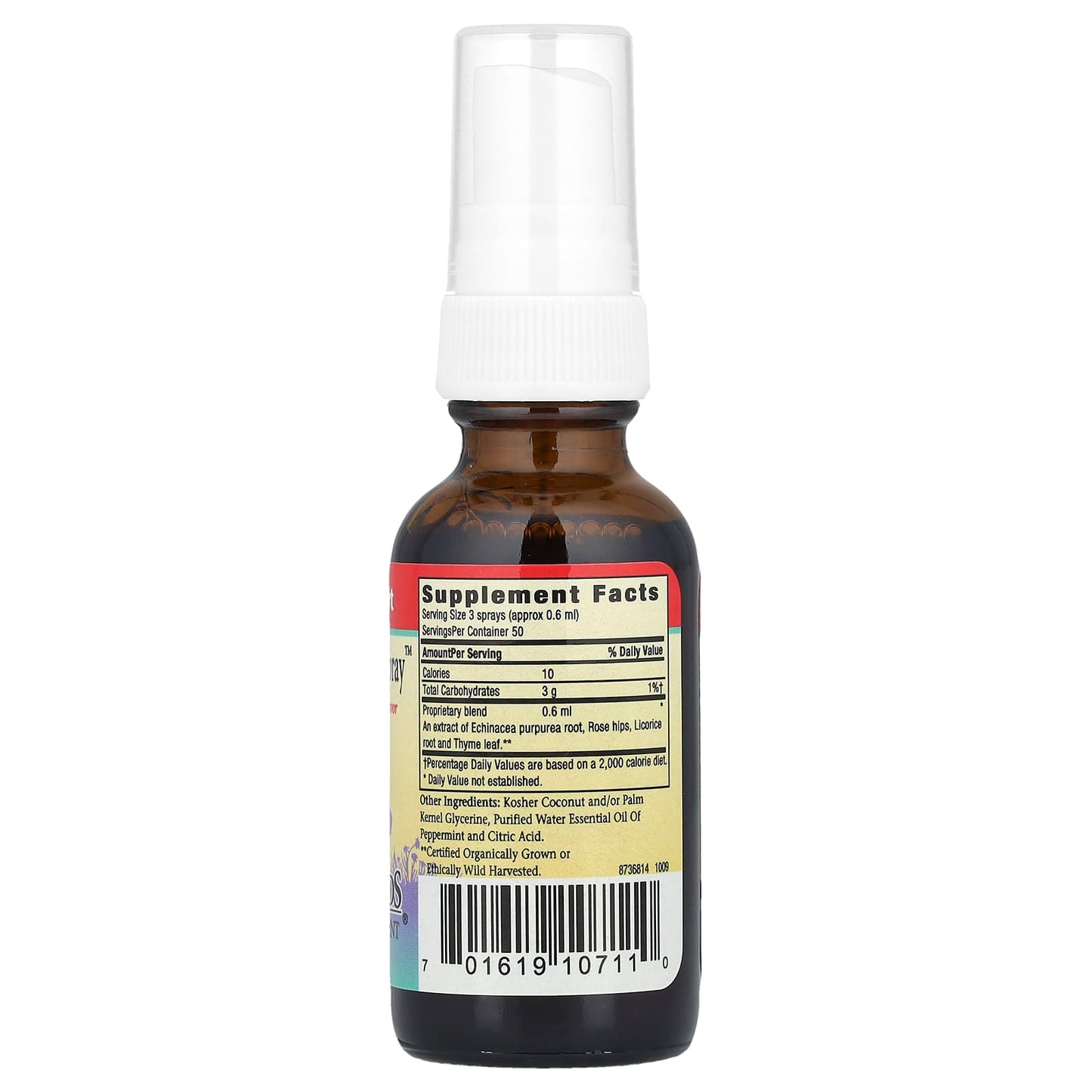 Herbs for Kids Throat Spray for Kids Peppermint Flavor 1 fl oz - Image 2