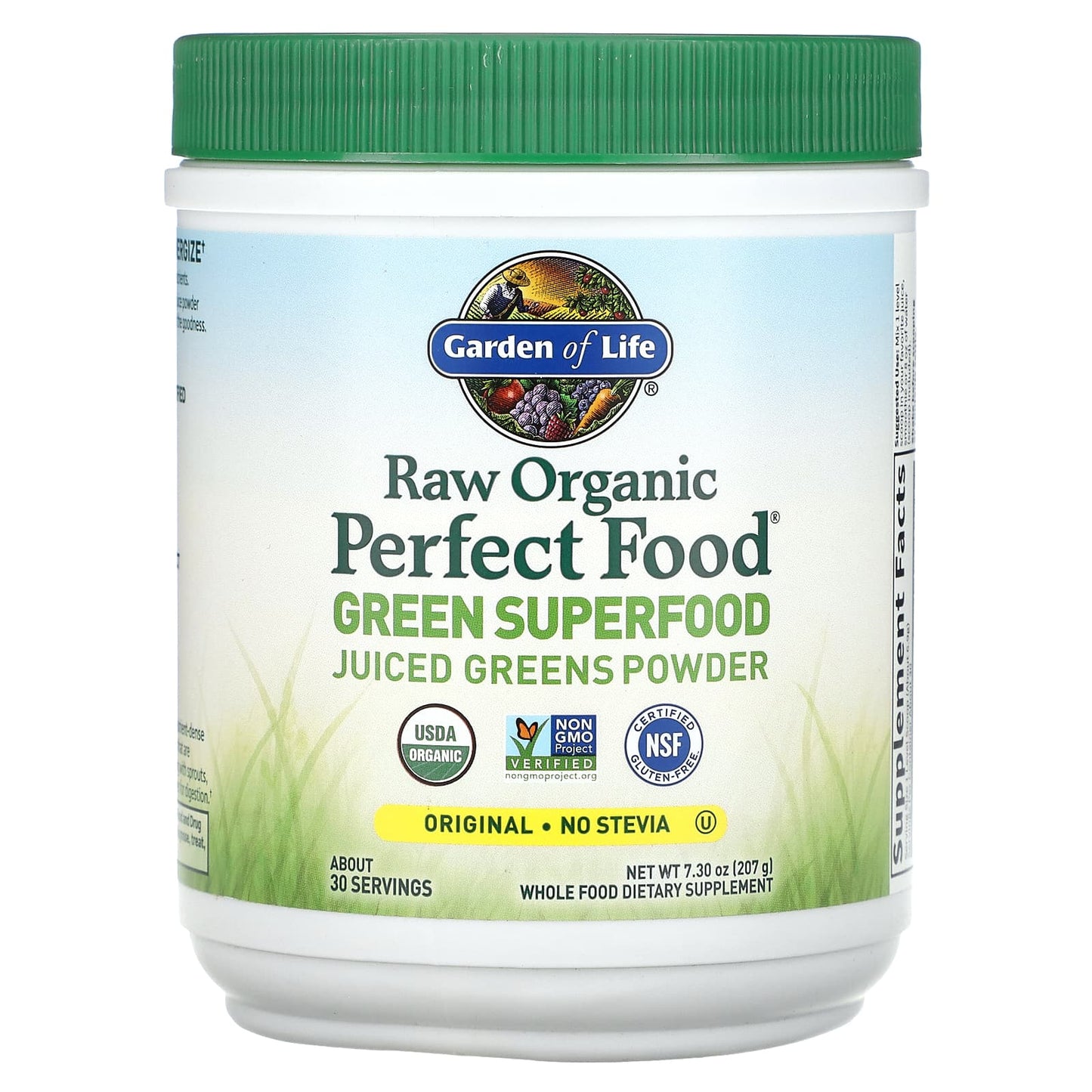 Garden of Life Raw Organic Perfect Food Green Superfood Powder - Image 1