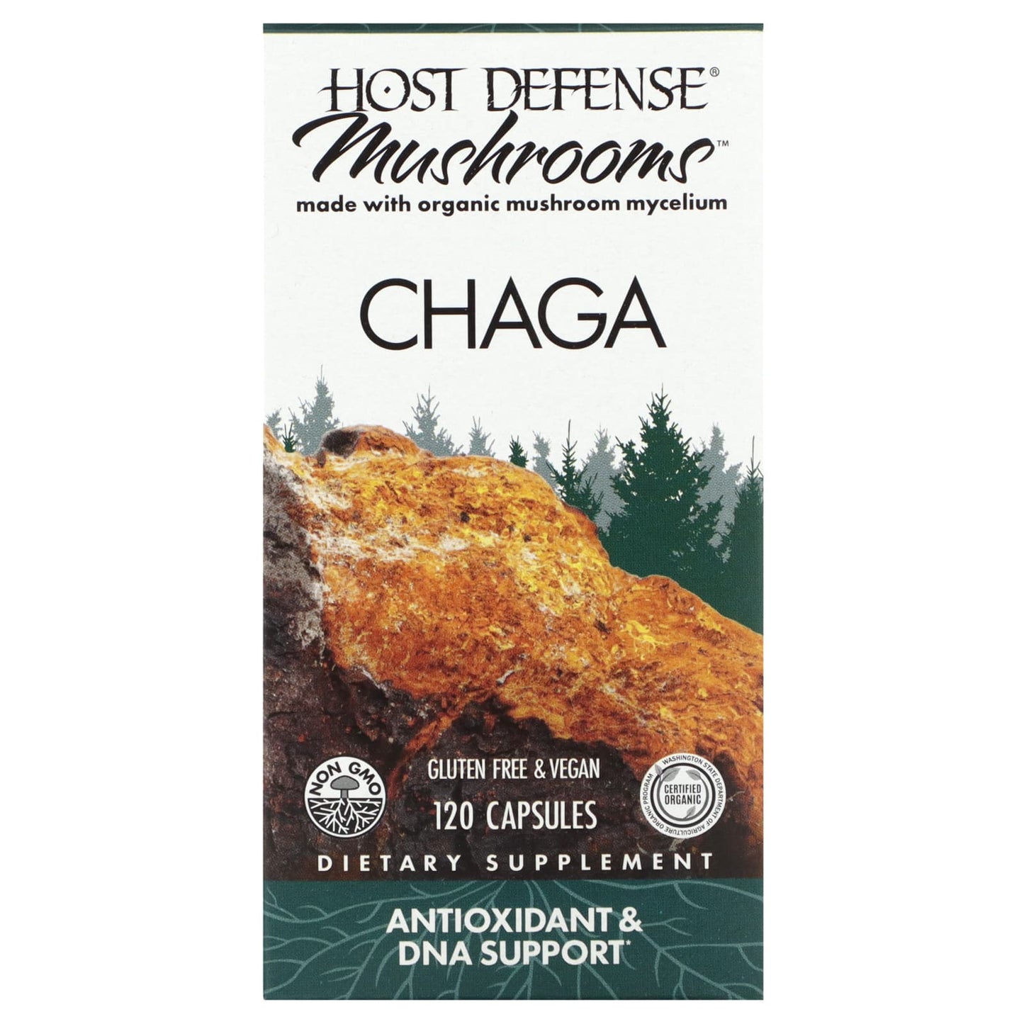 Host Defense Chaga Mushrooms - 120 Capsules (0.5g per Capsule) - Image 1