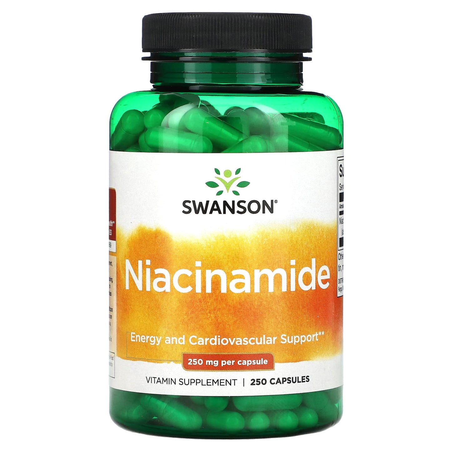 Swanson, Niacinamide, 250 mg, 250 Capsules - Image 1