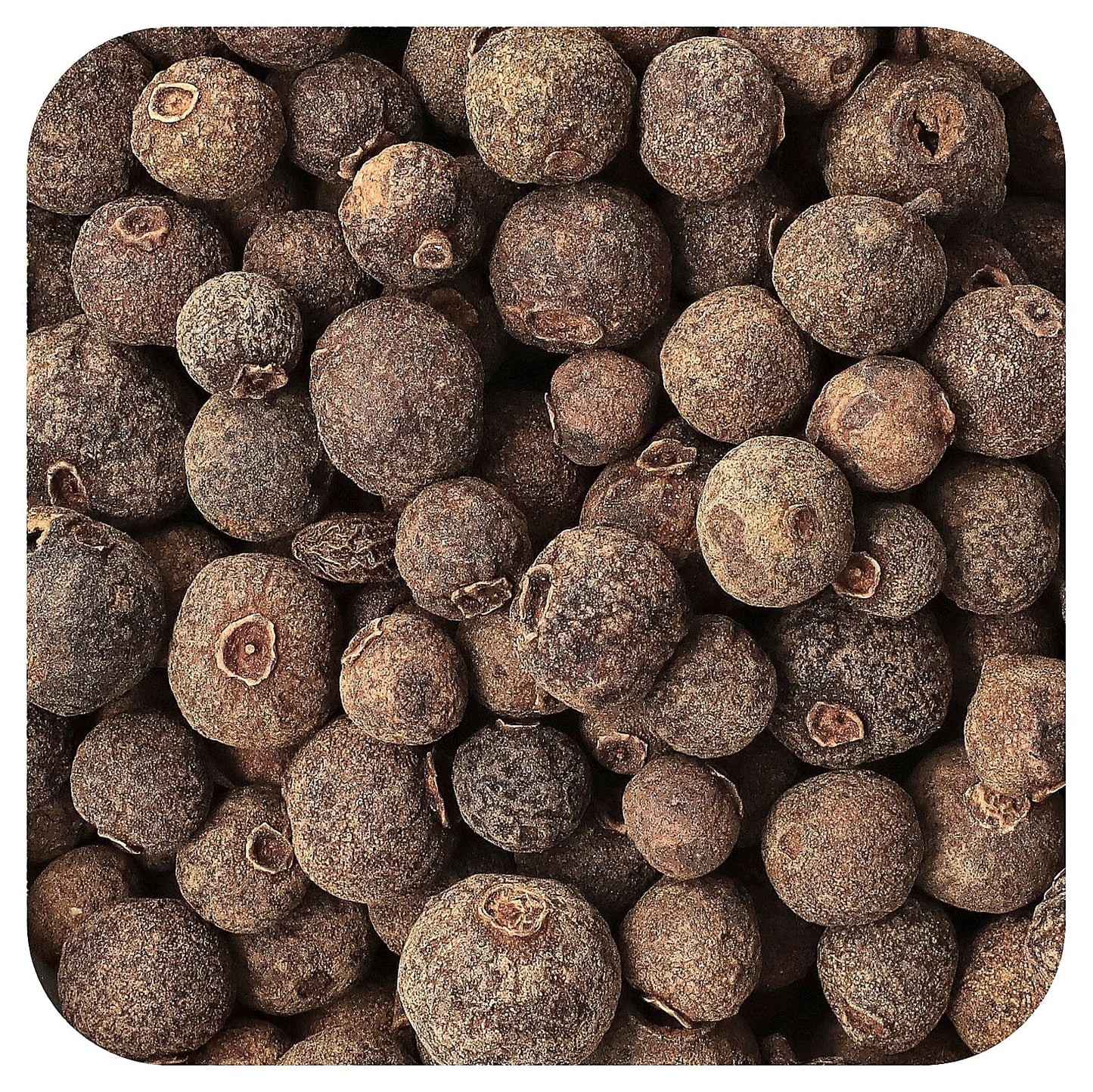 Organic Allspice by Frontier Co-op, 16 oz (453 g) - Image 1