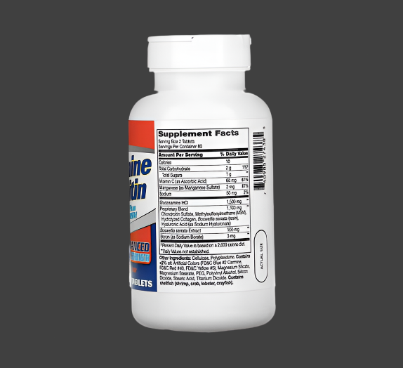 21st Century, Glucosamine Chondroitin Complex Plus MSM, Advanced Triple Strength, 120 Tablets