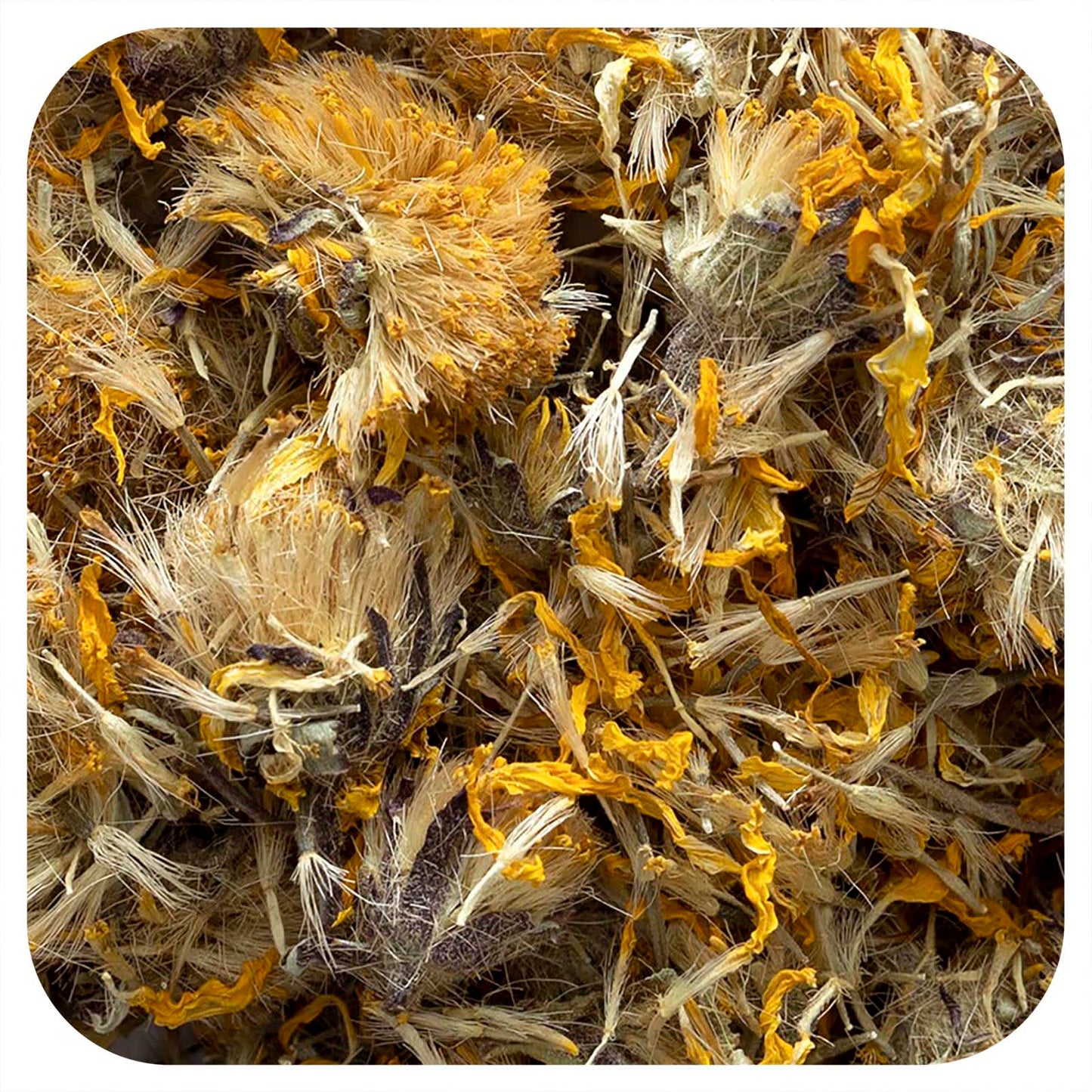 Arnica Whole Flowers by Frontier Co-op for Skin Benefits - Image 1