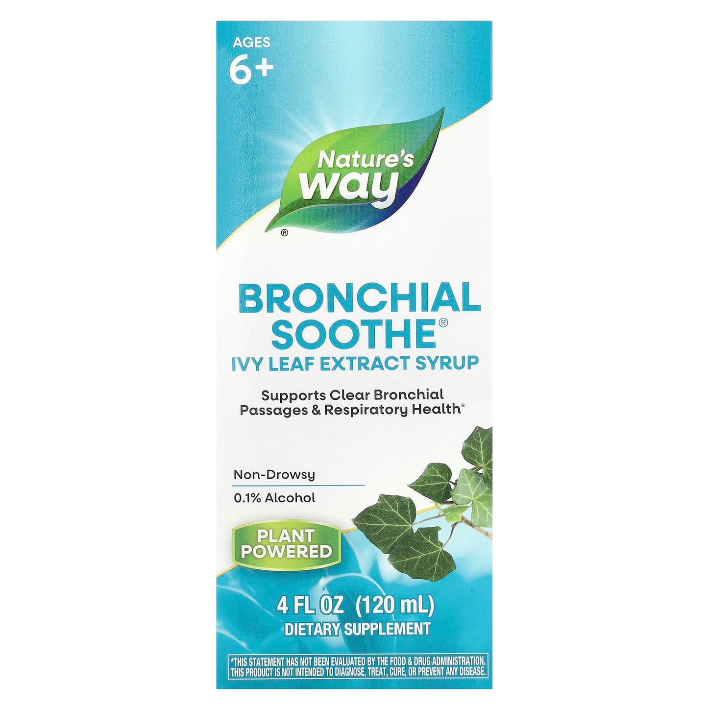 Nature's Way, Bronchial Soothe®, Ivy Leaf Extract Syrup, Ages 6+, 4 fl oz (120 ml) - Image 1