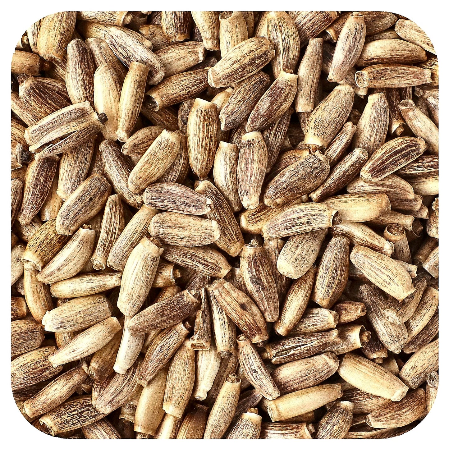 Starwest Botanicals, Organic Milk Thistle Seed, 1 lb (453.6 g) - Image 1