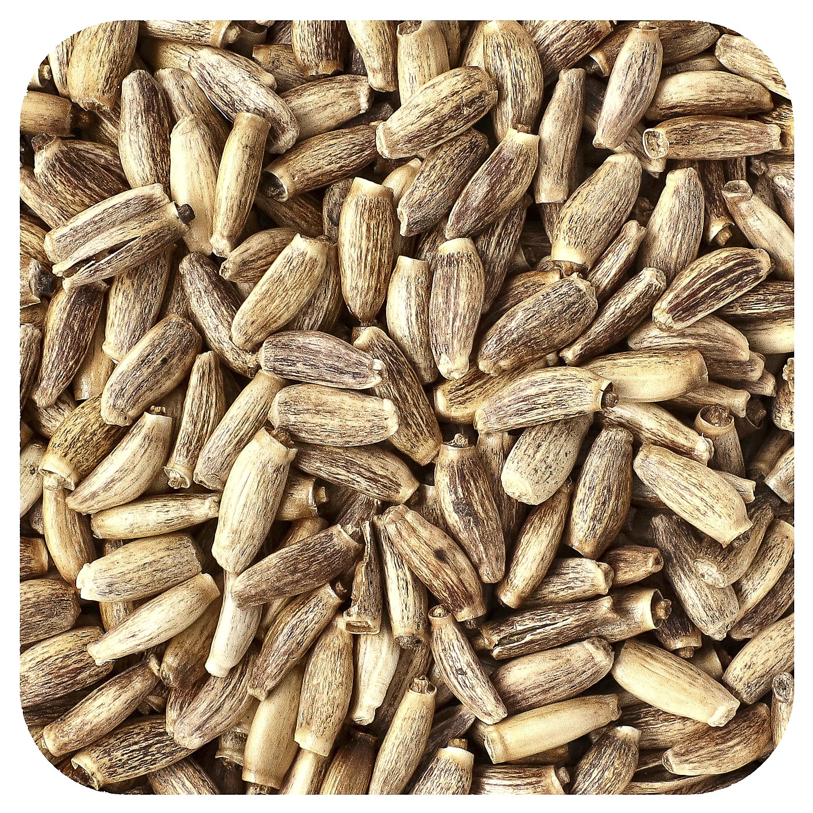 Starwest Botanicals, Organic Milk Thistle Seed, 1 lb (453.6 g) - Image 1