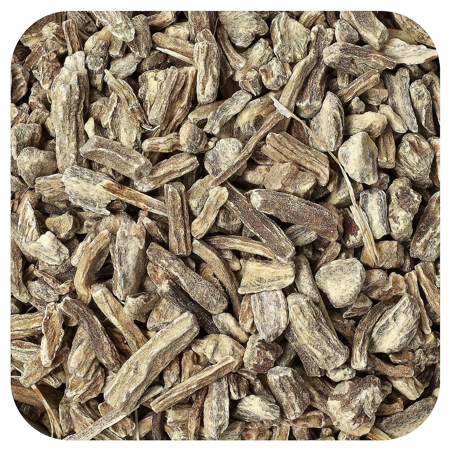 Frontier Co-op USDA Organic Echinacea Angustifolia Root Tea, 16 oz - Image 1