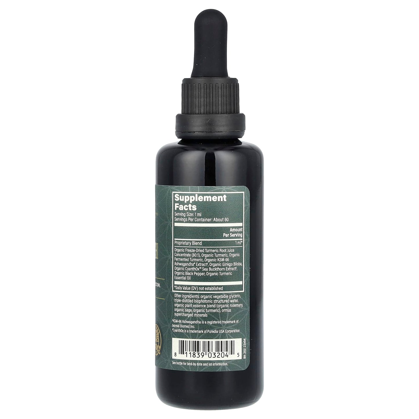 Boost Brain Health with Global Healing's Turmerones Extract - Image 2