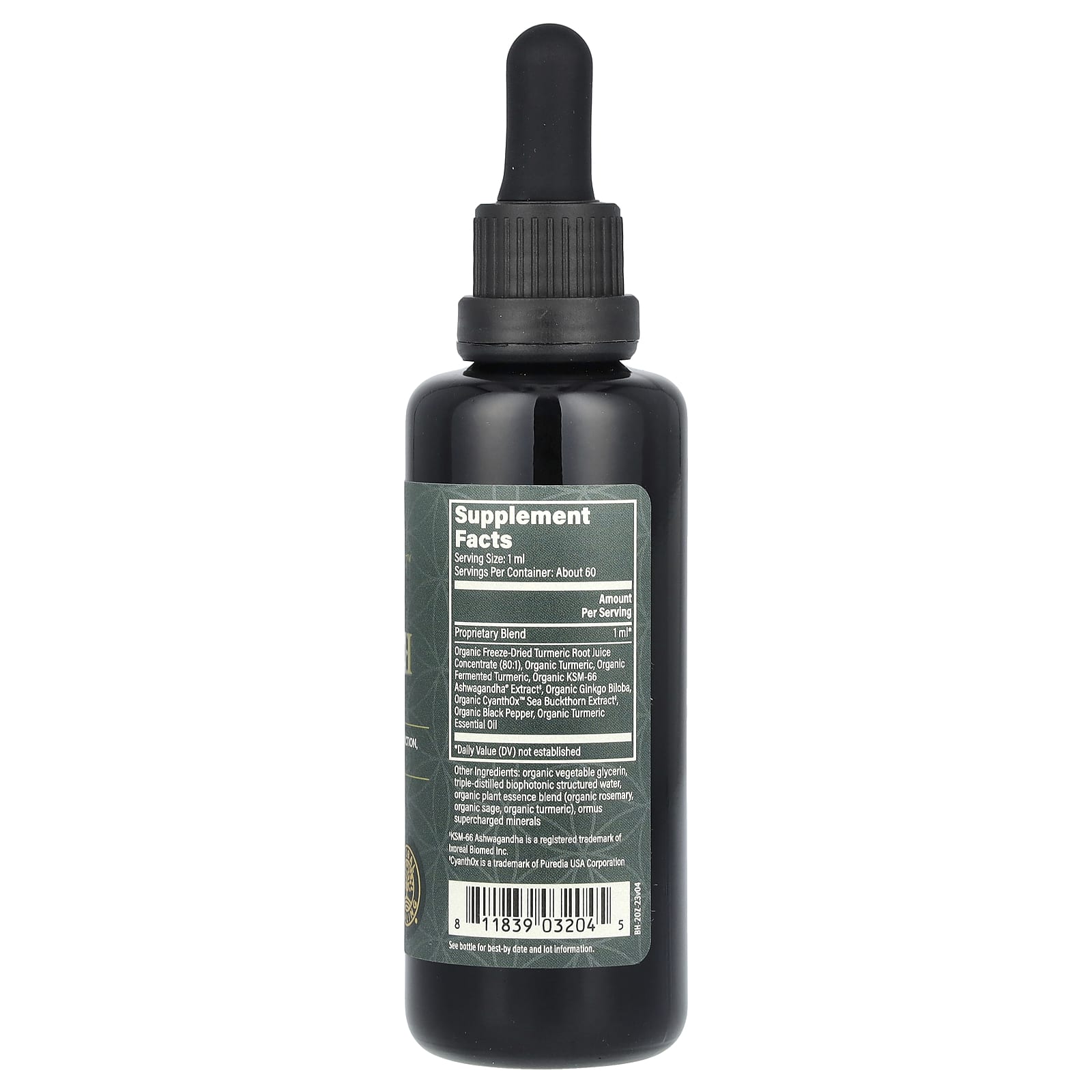 Boost Brain Health with Global Healing's Turmerones Extract - Image 2