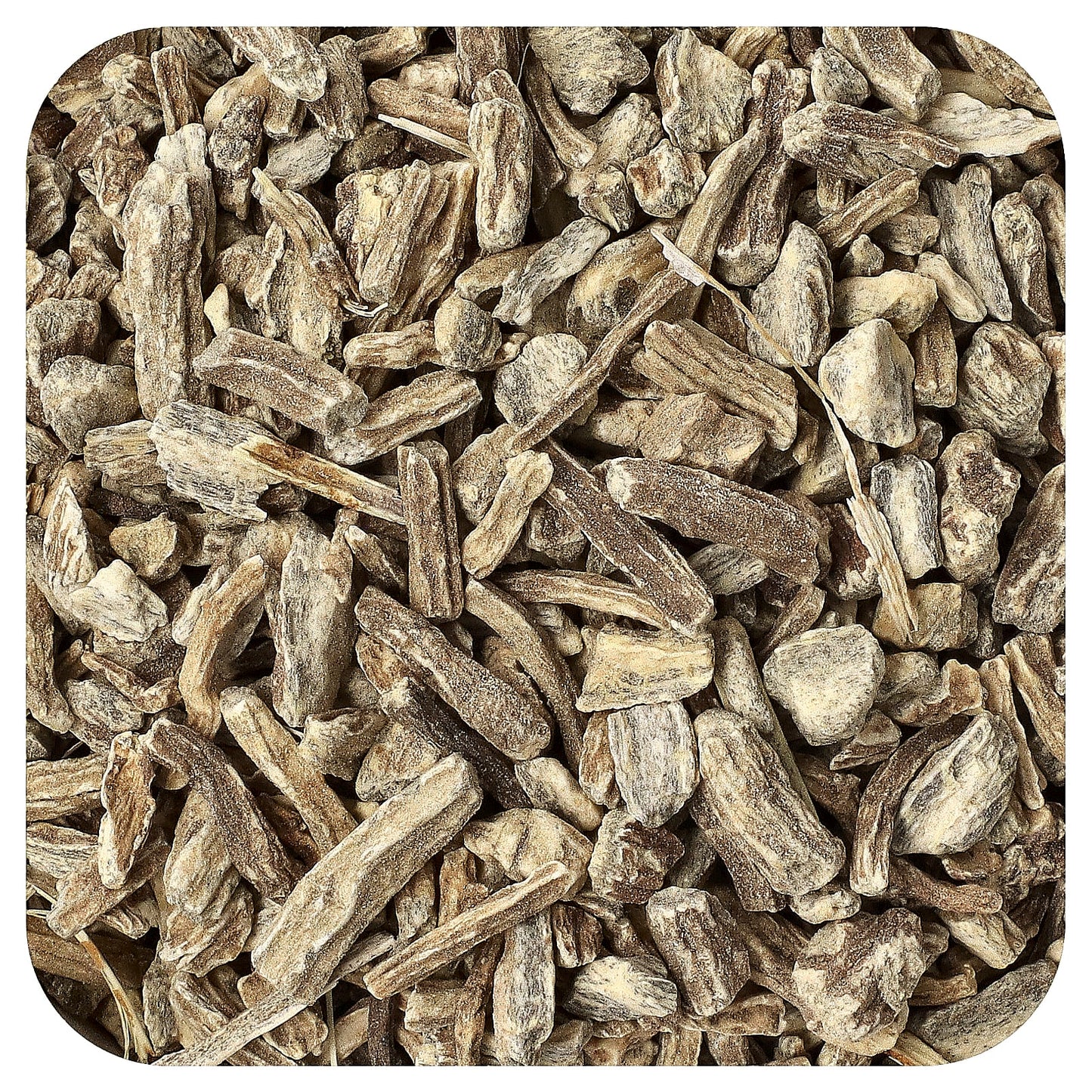 Frontier Co-op USDA Organic Echinacea Angustifolia Root Tea, 16 oz - Image 1