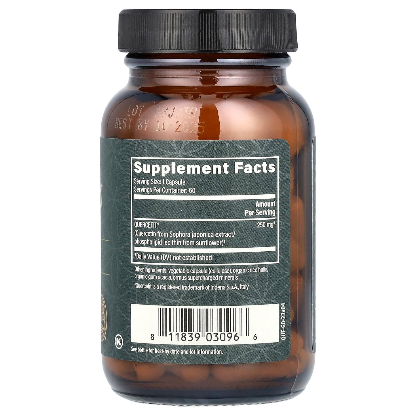 Boost Immunity with Plant-Based Quercetin Capsules by Global Healing - Image 2