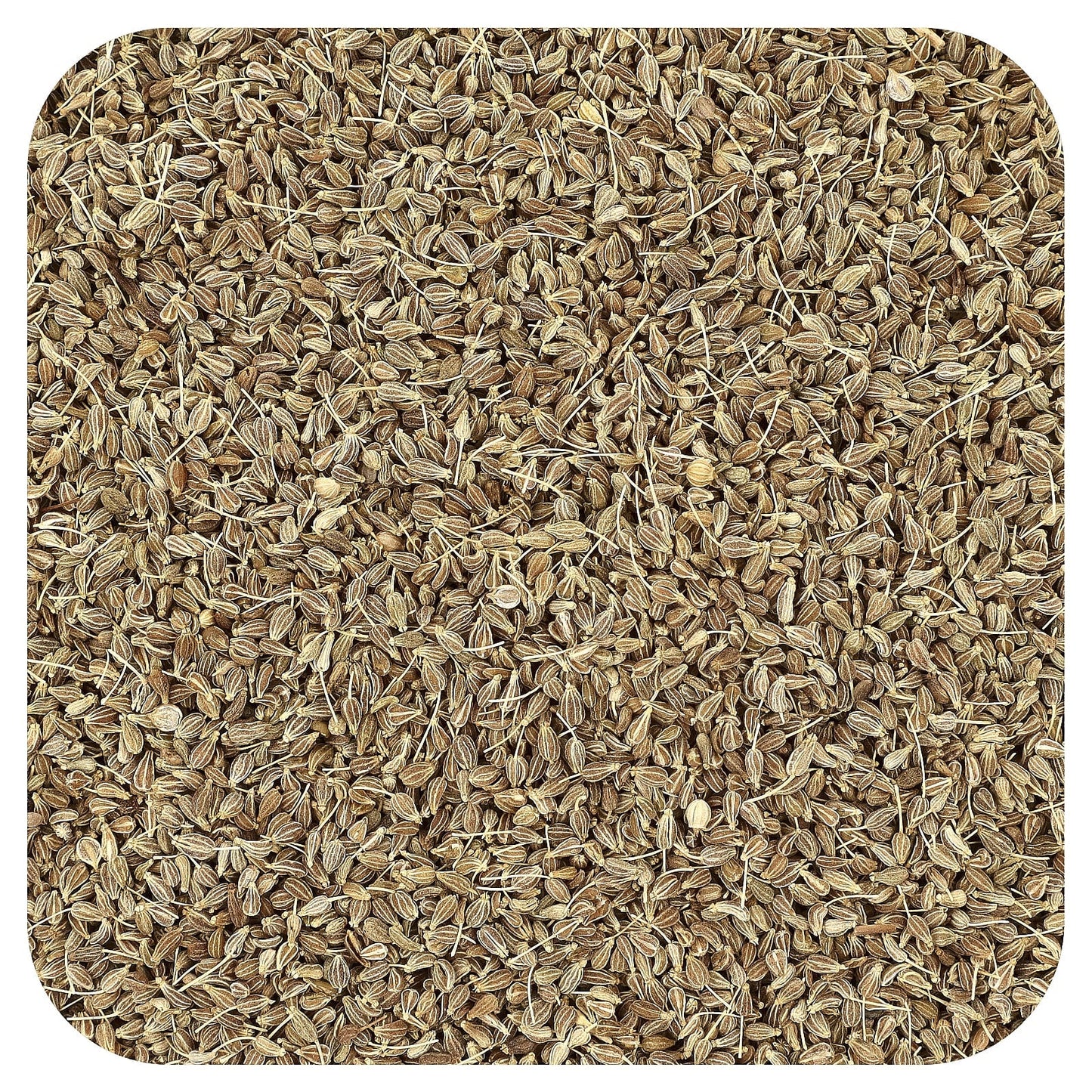 Organic Anise Seeds for Baking & Cooking | USDA Certified - Image 1