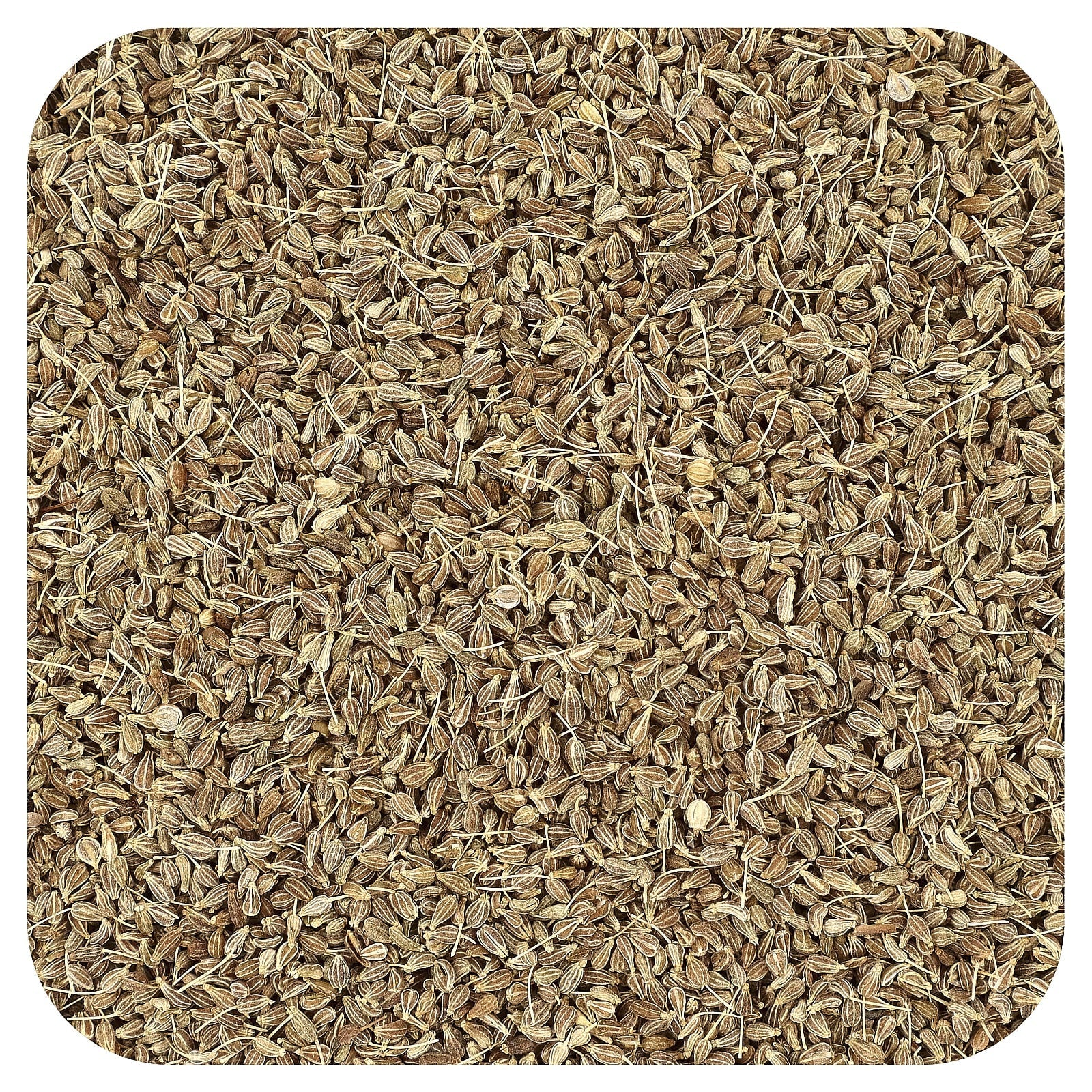 Organic Anise Seeds for Baking & Cooking | USDA Certified - Image 1