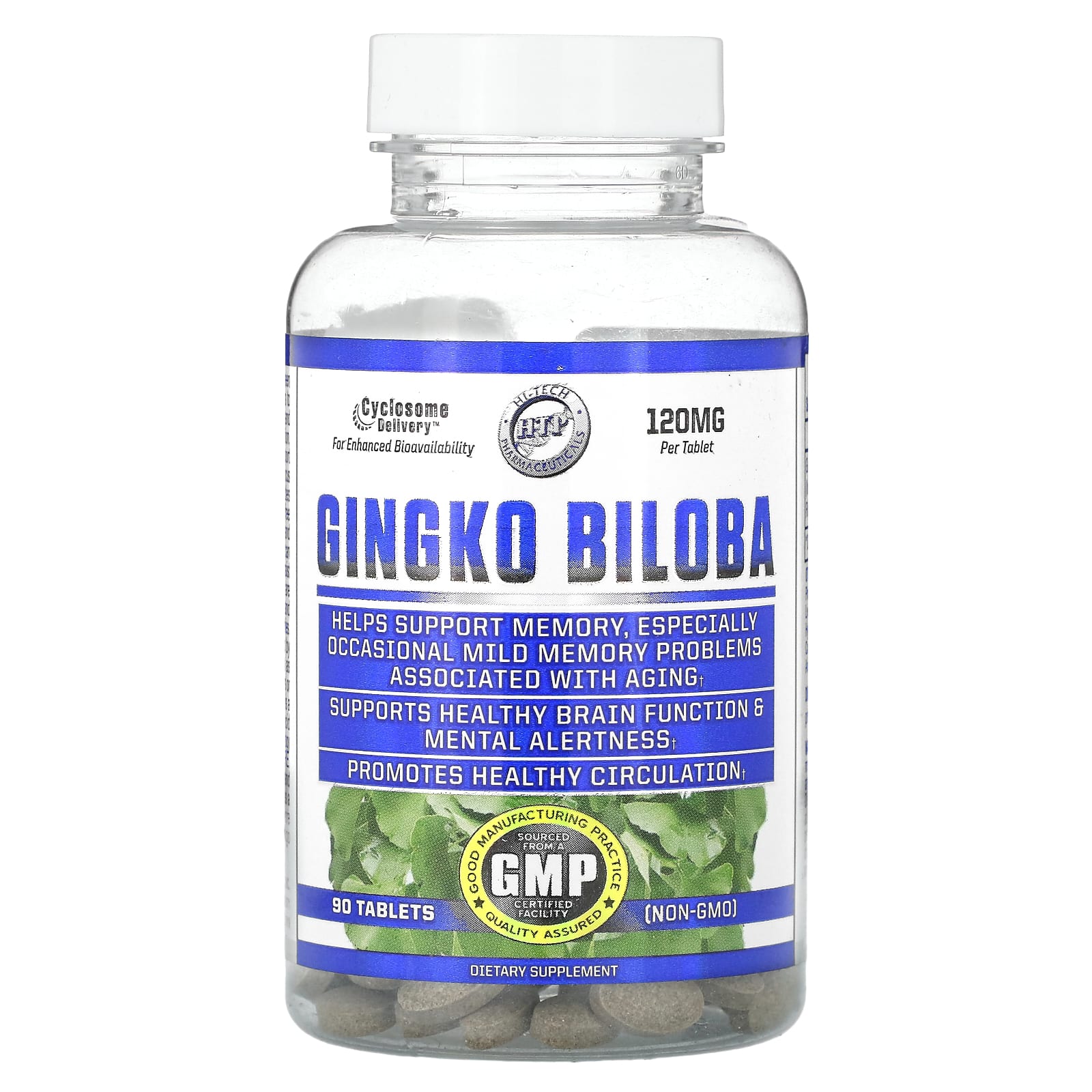 Ginkgo Biloba Memory & Brain Health Supplement 120mg, 90 Tablets - Image 1