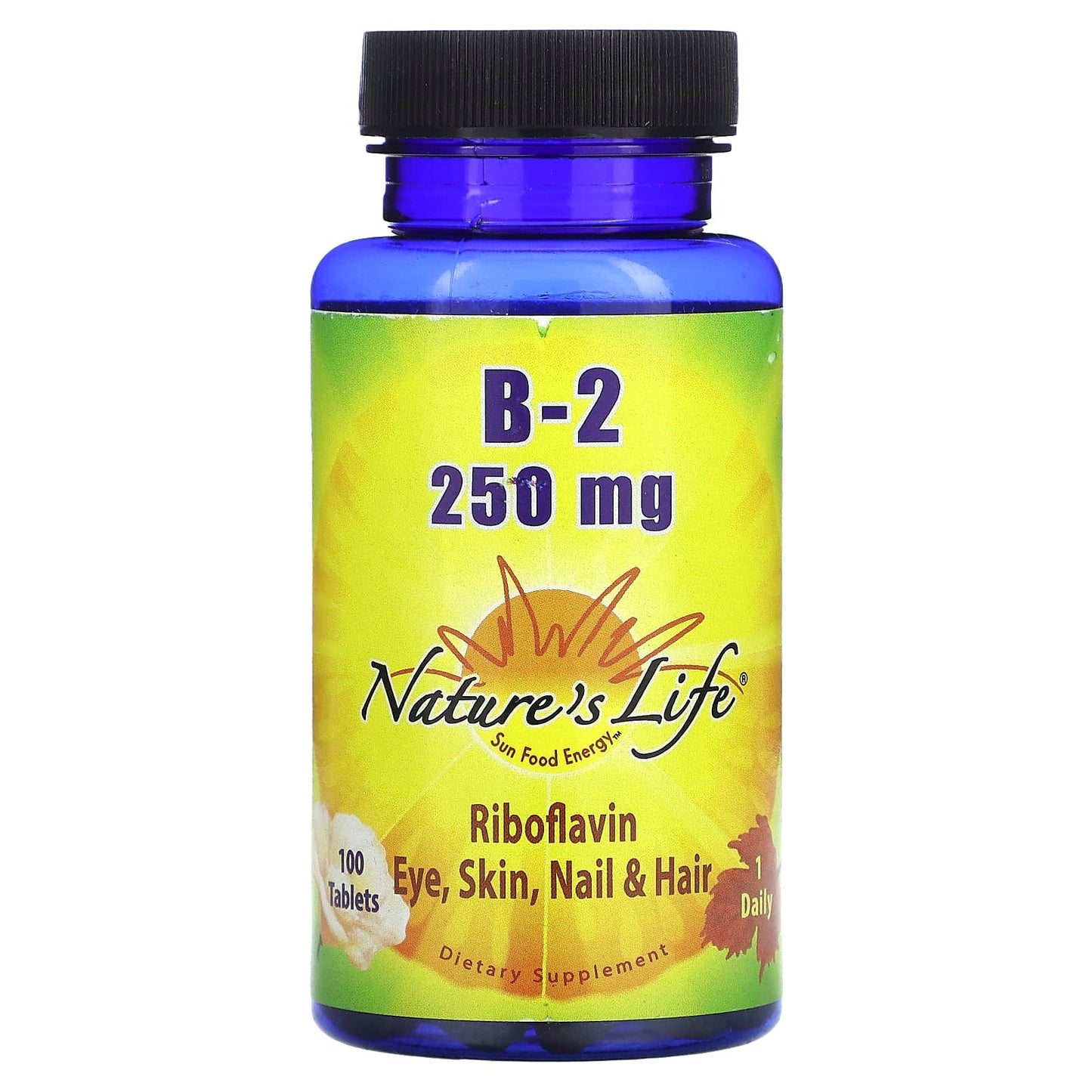 Nature's Life, B-2 Riboflavin, 250 mg, 100 Tablets - Image 1