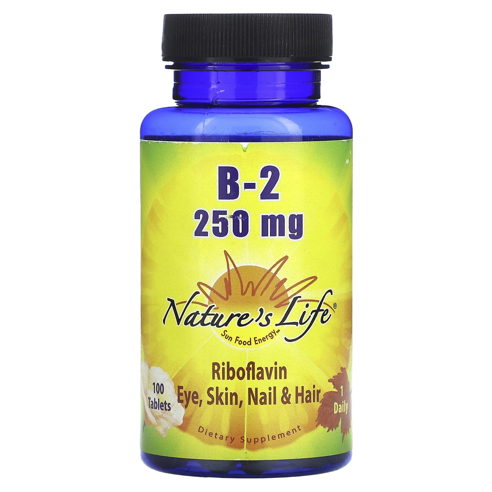 Nature's Life, B-2 Riboflavin, 250 mg, 100 Tablets - Image 1