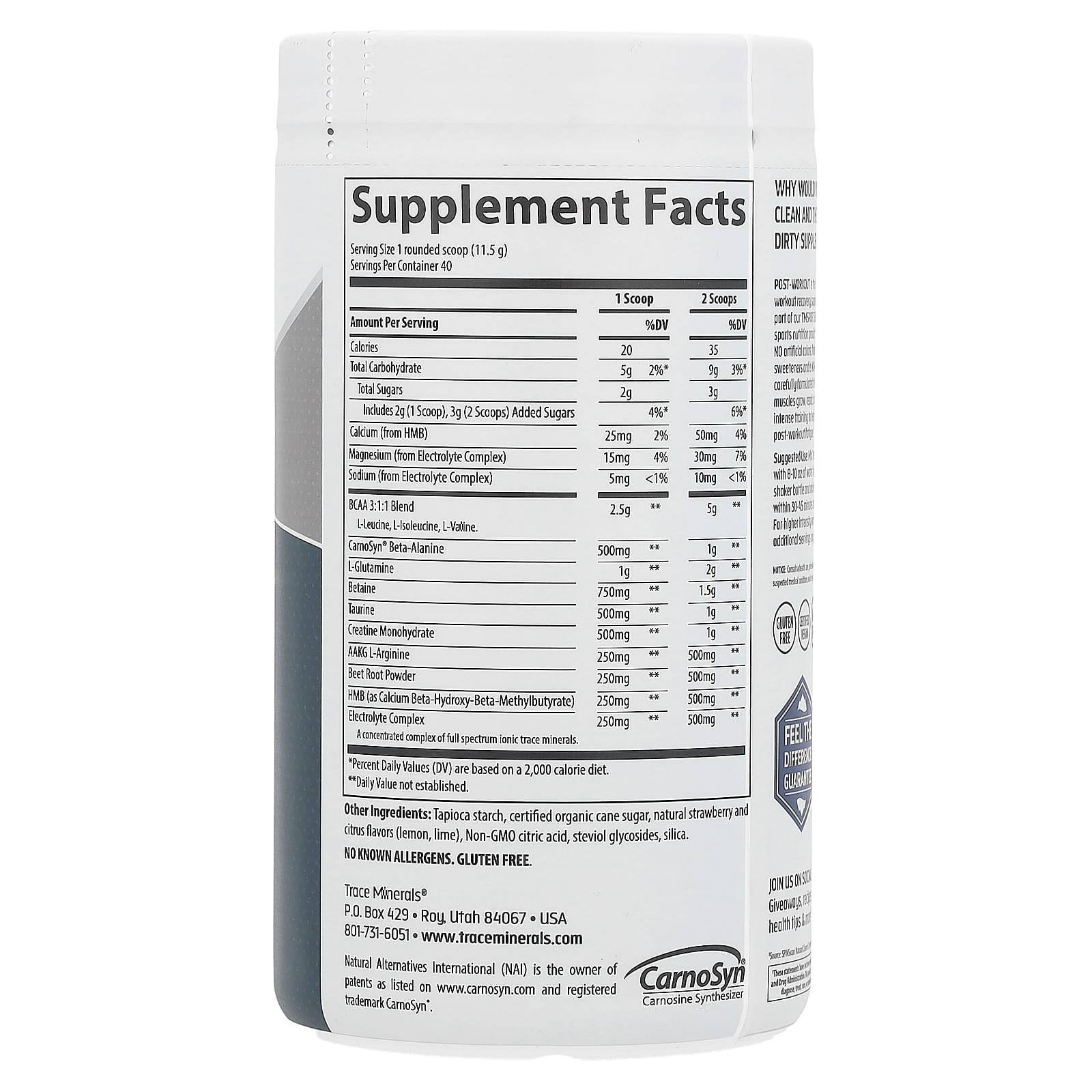 Trace, TM Sport, Clean Post Workout, Strawberry Lemonade, 1.01 lbs (460 g) - Image 2