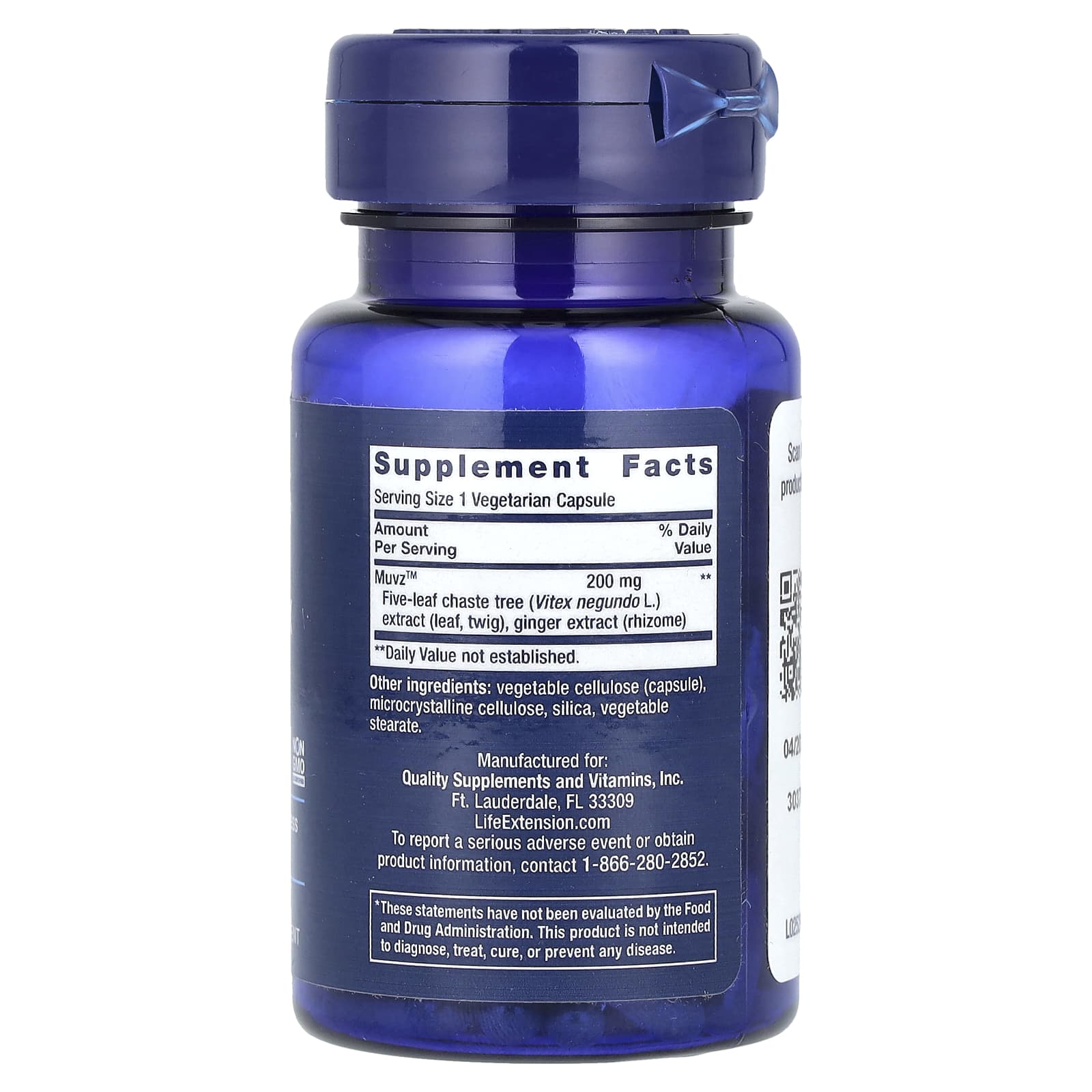 Life Extension, Lower Back Relief , 60 Vegetarian Capsules - Image 2