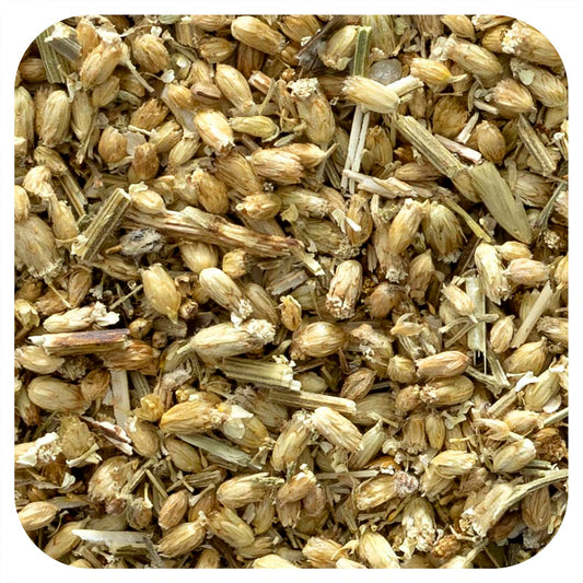 Organic Yarrow Flowers for Herbal Remedies and Tea - Image 1