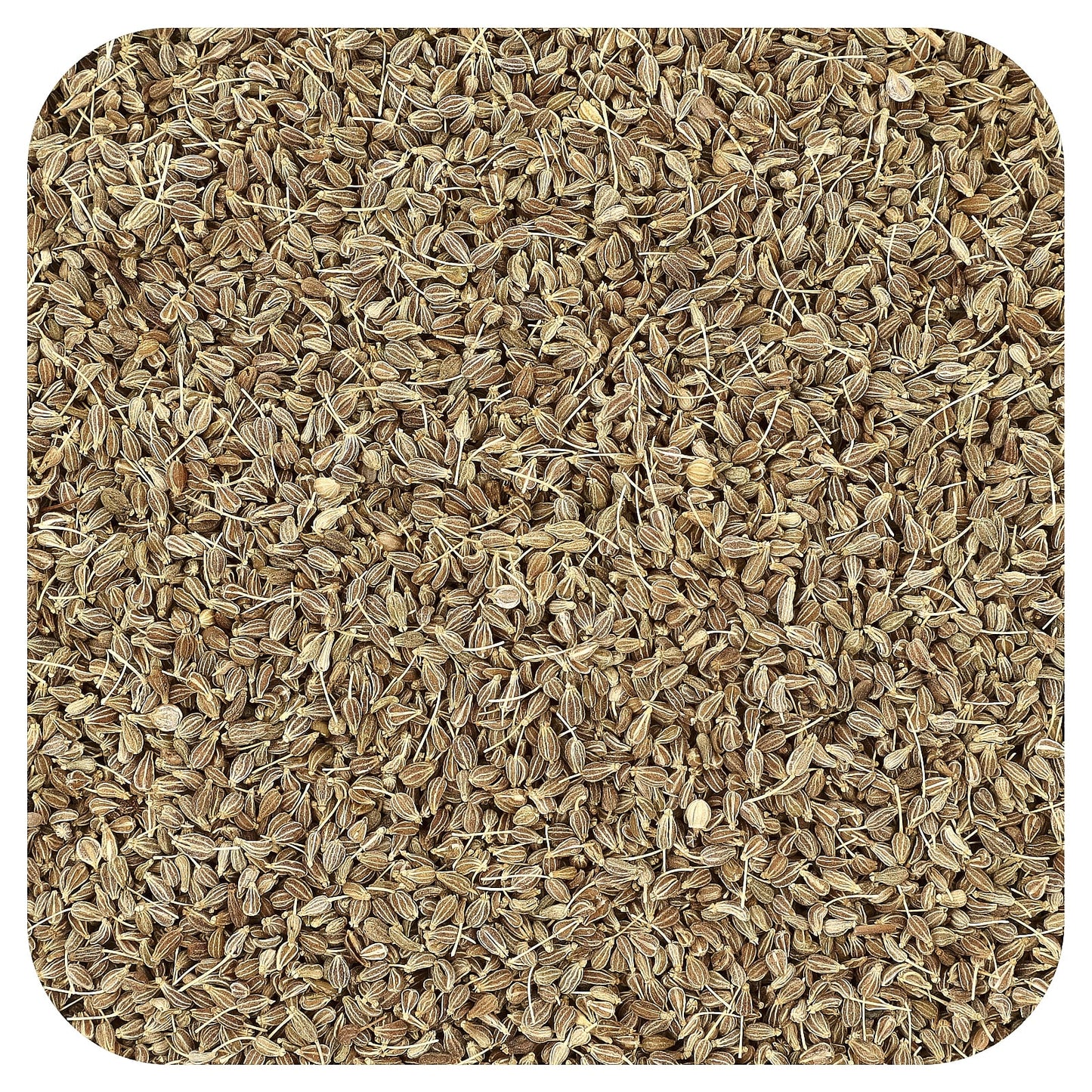 Organic Anise Seeds for Baking & Cooking | USDA Certified - Image 1