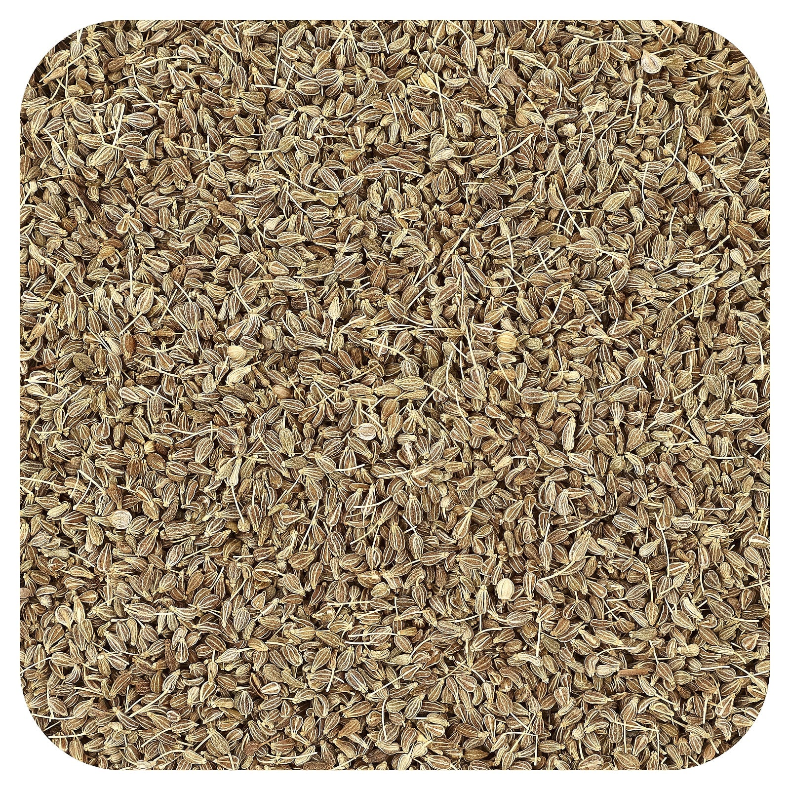 Organic Anise Seeds for Baking & Cooking | USDA Certified - Image 1