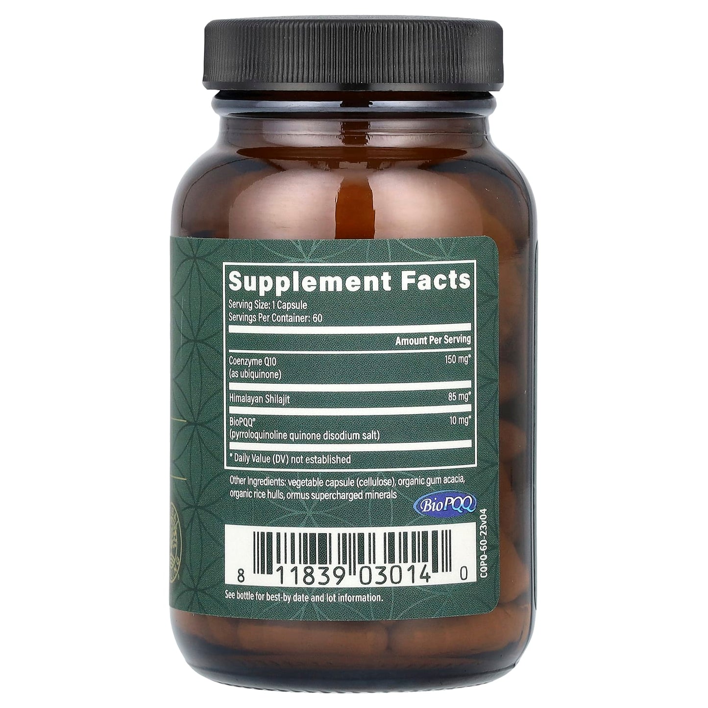 Unlock Energy & Focus with CoQ10 & BioPQQ Supplement - Image 2