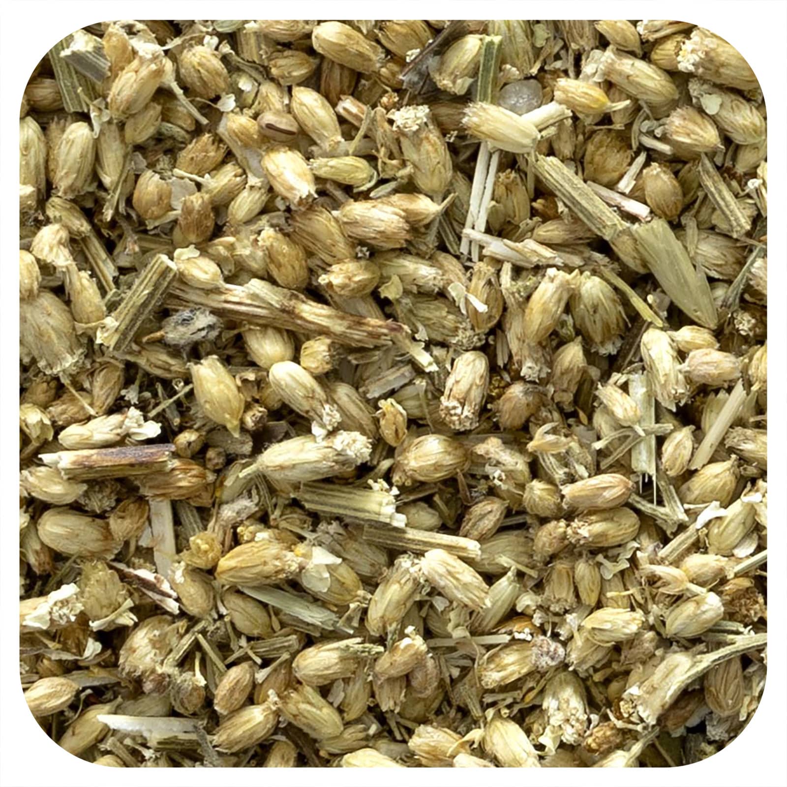 Organic Yarrow Flowers for Herbal Remedies and Tea - Image 1