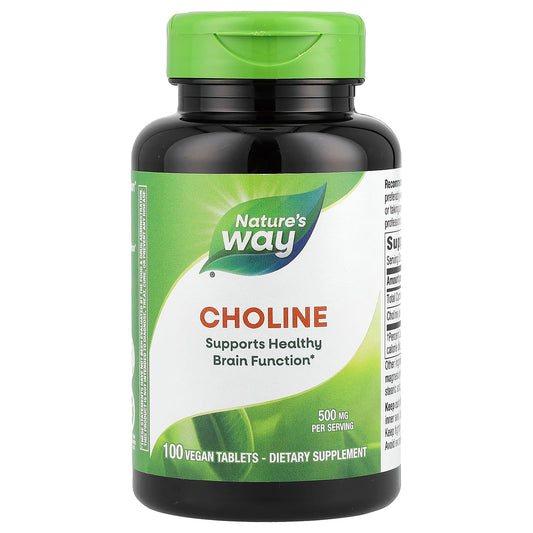 Nature's Way, Choline, 500 mg, 100 Vegan Tablets - Image 1