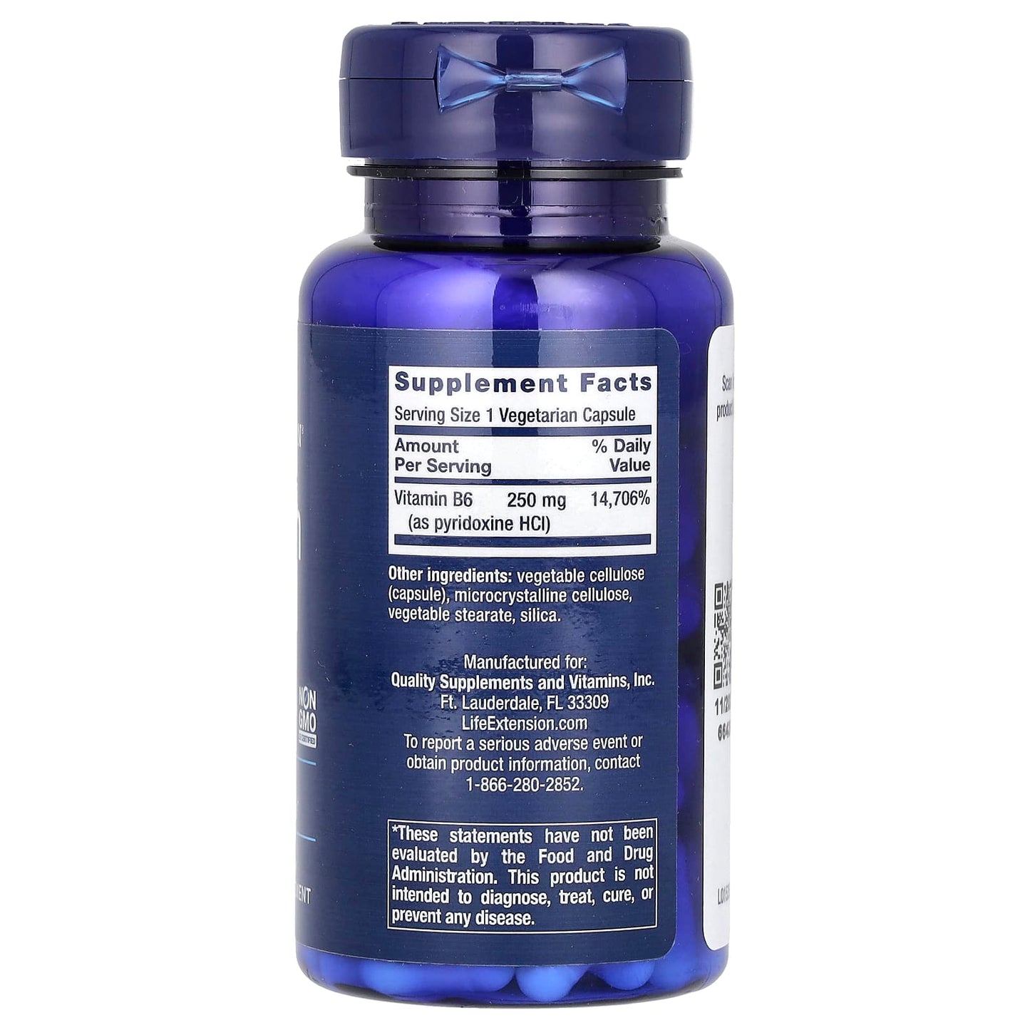 Life Extension, Vitamin B6, 250 mg, 100 Vegetarian Capsules - Image 2
