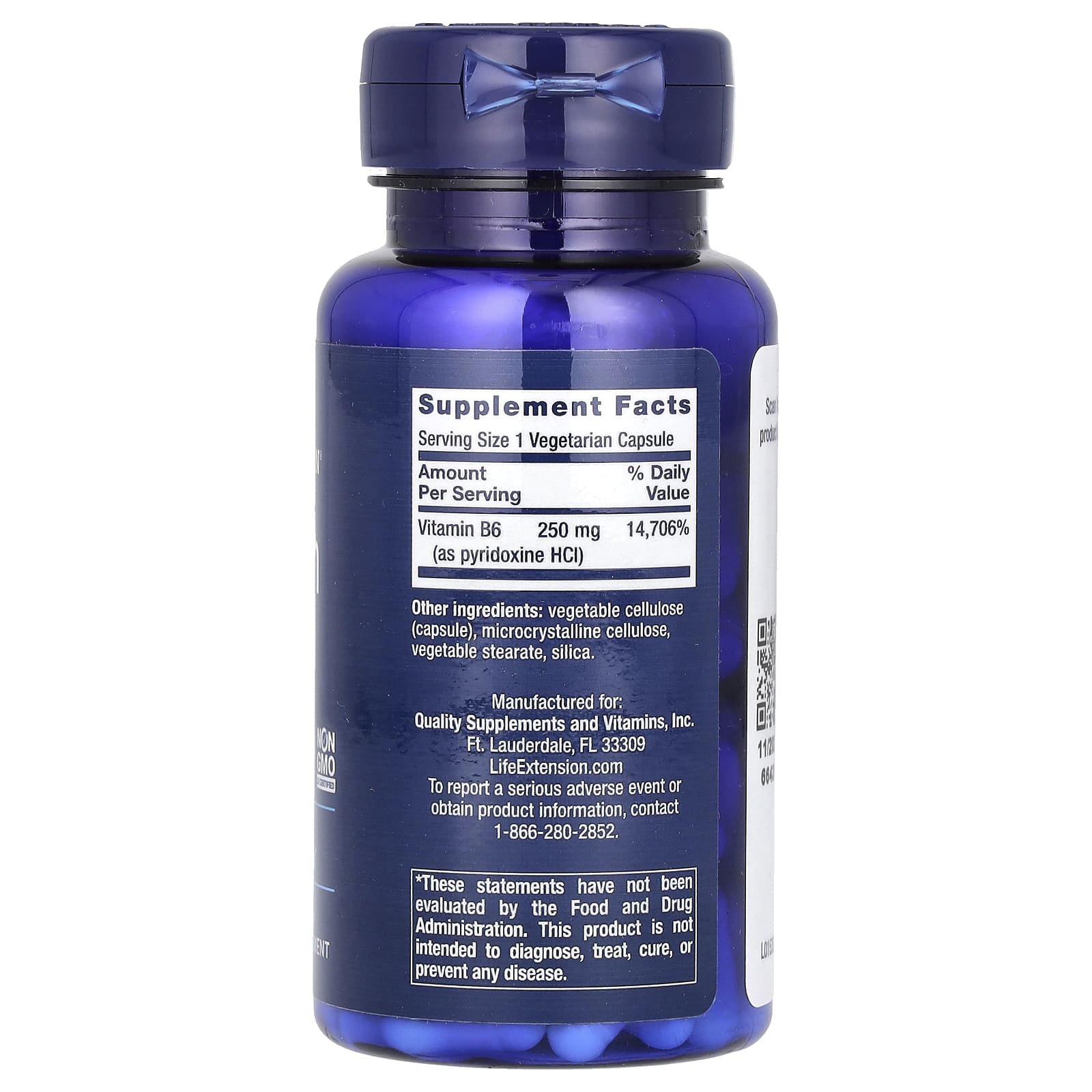 Life Extension, Vitamin B6, 250 mg, 100 Vegetarian Capsules - Image 2