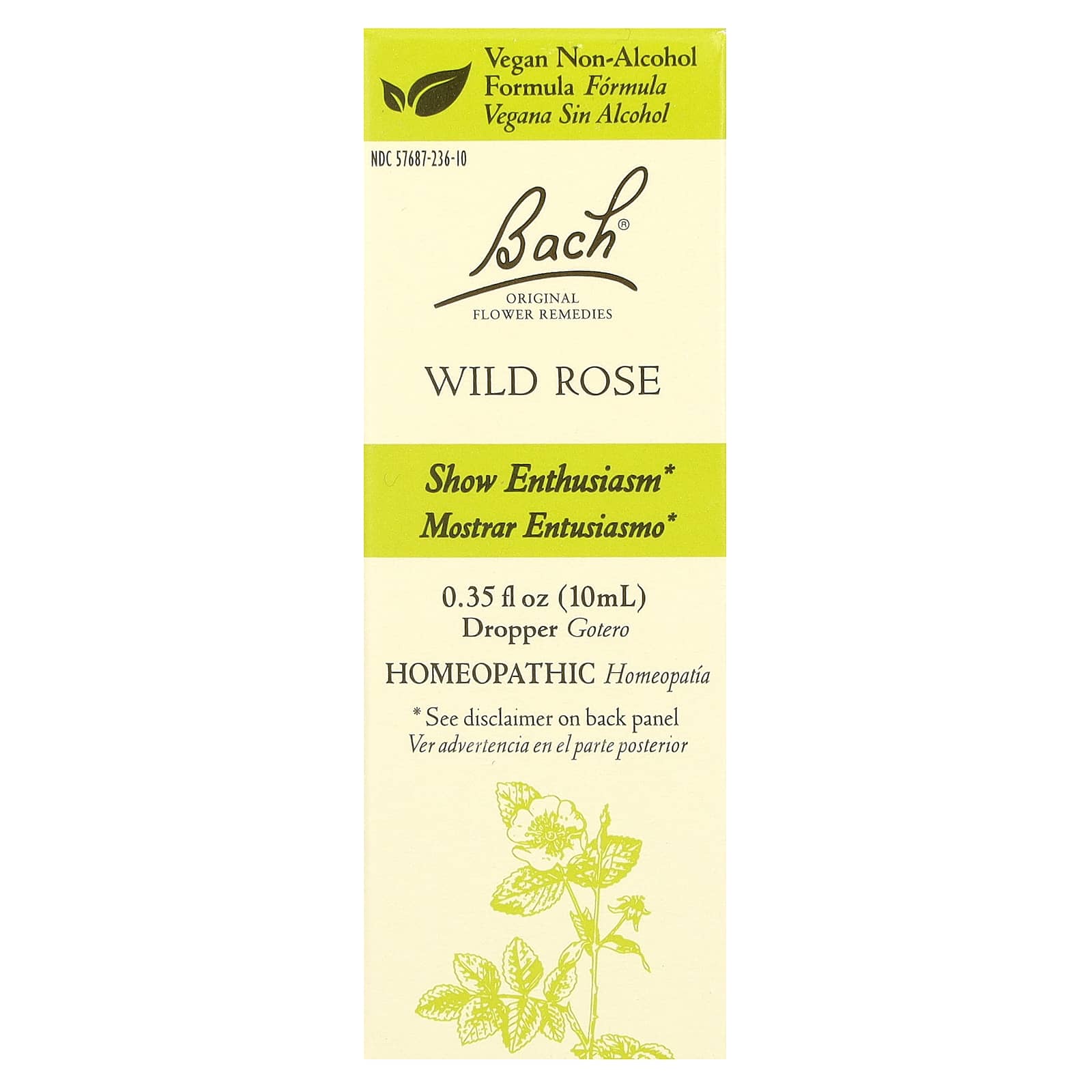 Bach Original Flower Remedies Wild Rose for Enthusiasm and Joy - Image 1