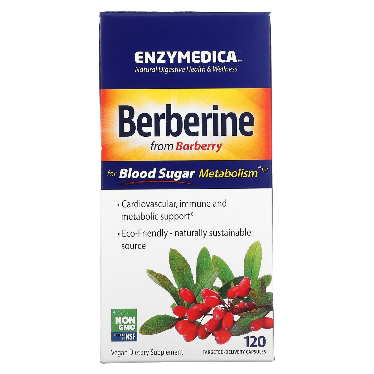 Berberine Supplement by Enzymedica - Blood Sugar Support & Metabolism - Image 1