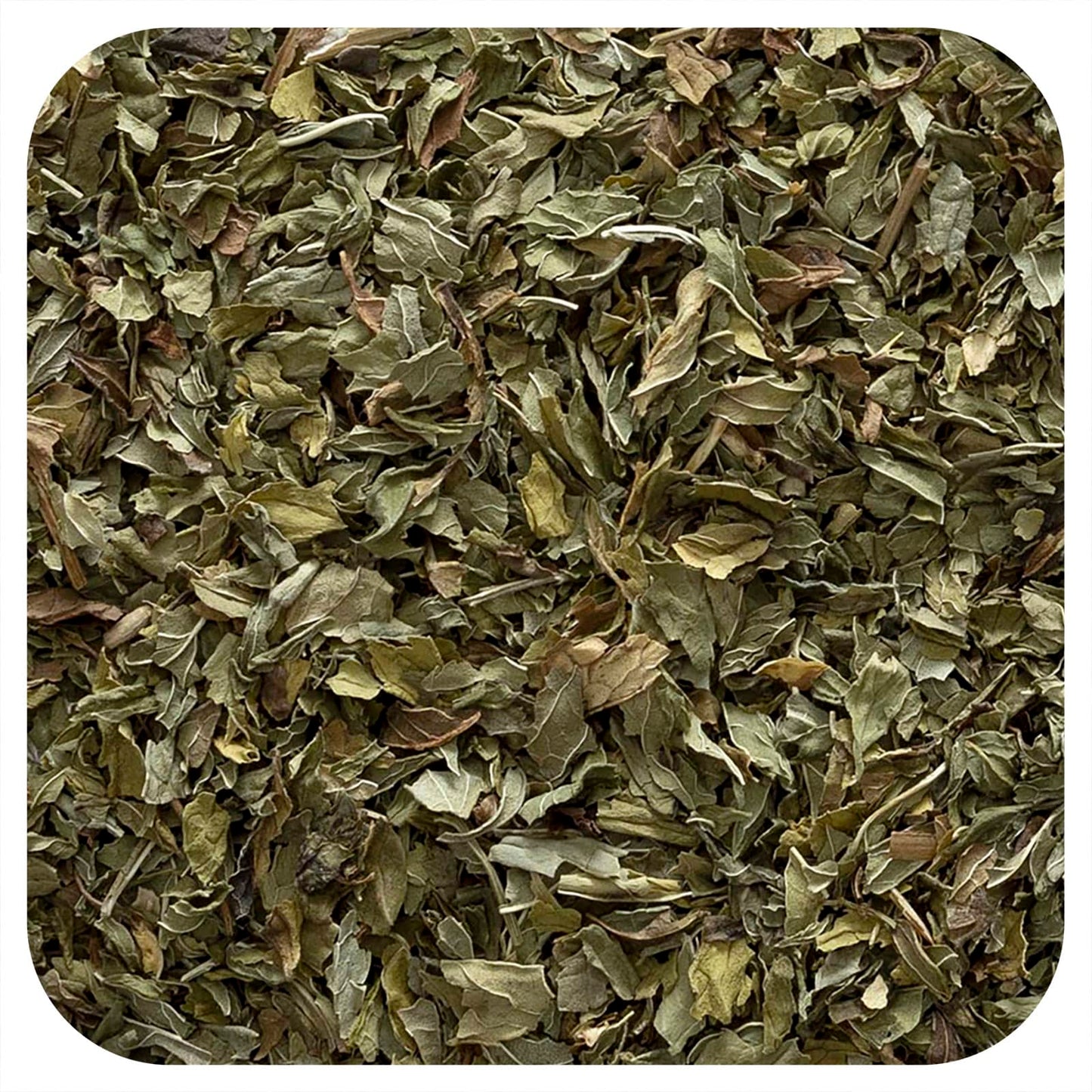 Organic US-Grown Spearmint Leaf - Frontier Co-op, 16 oz - Image 1