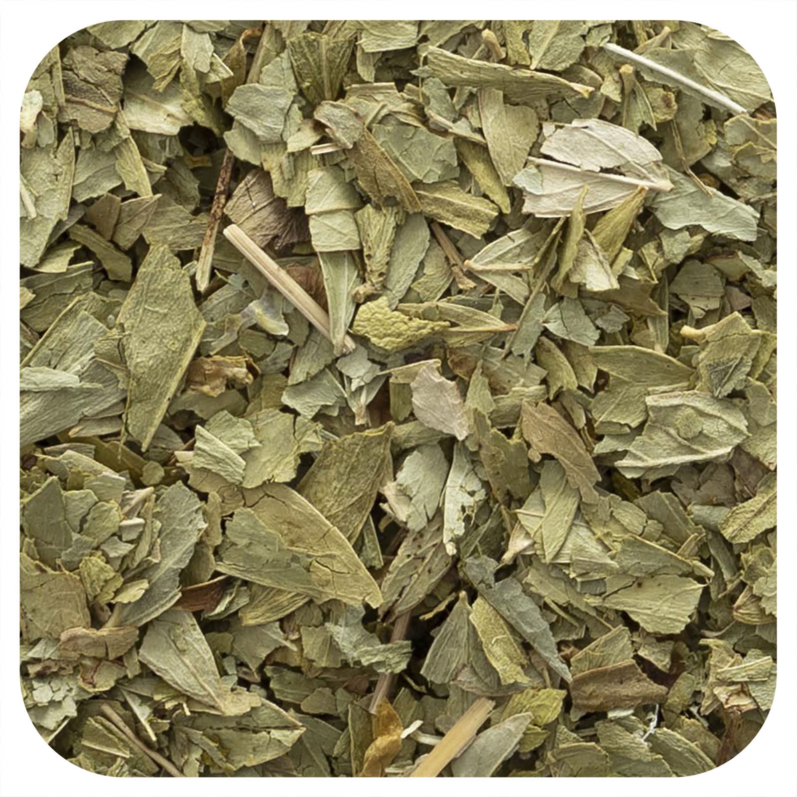 Frontier Co-op, Cut & Sifted Senna Leaf, 16 oz (453 g)