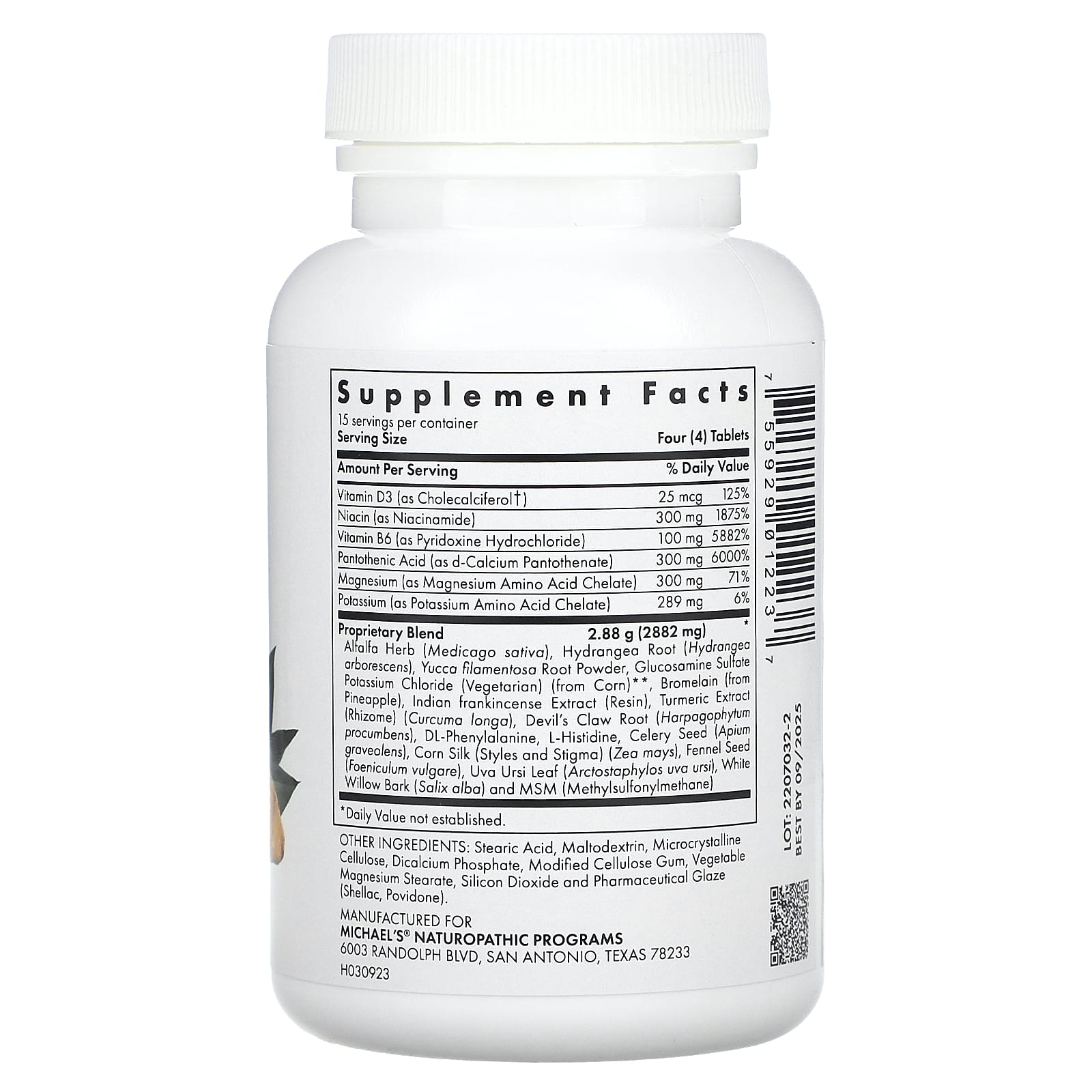 Michael's Health, Joint Mobility Factors, 60 Vegetarian Tablets - Image 2
