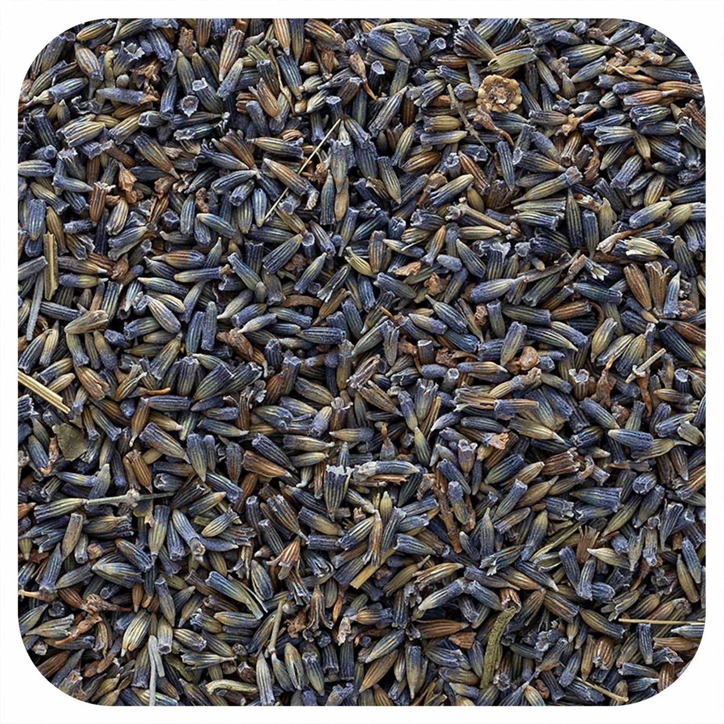 Whole Lavender Flowers for Relaxation and Wellness - 16 oz - Image 1
