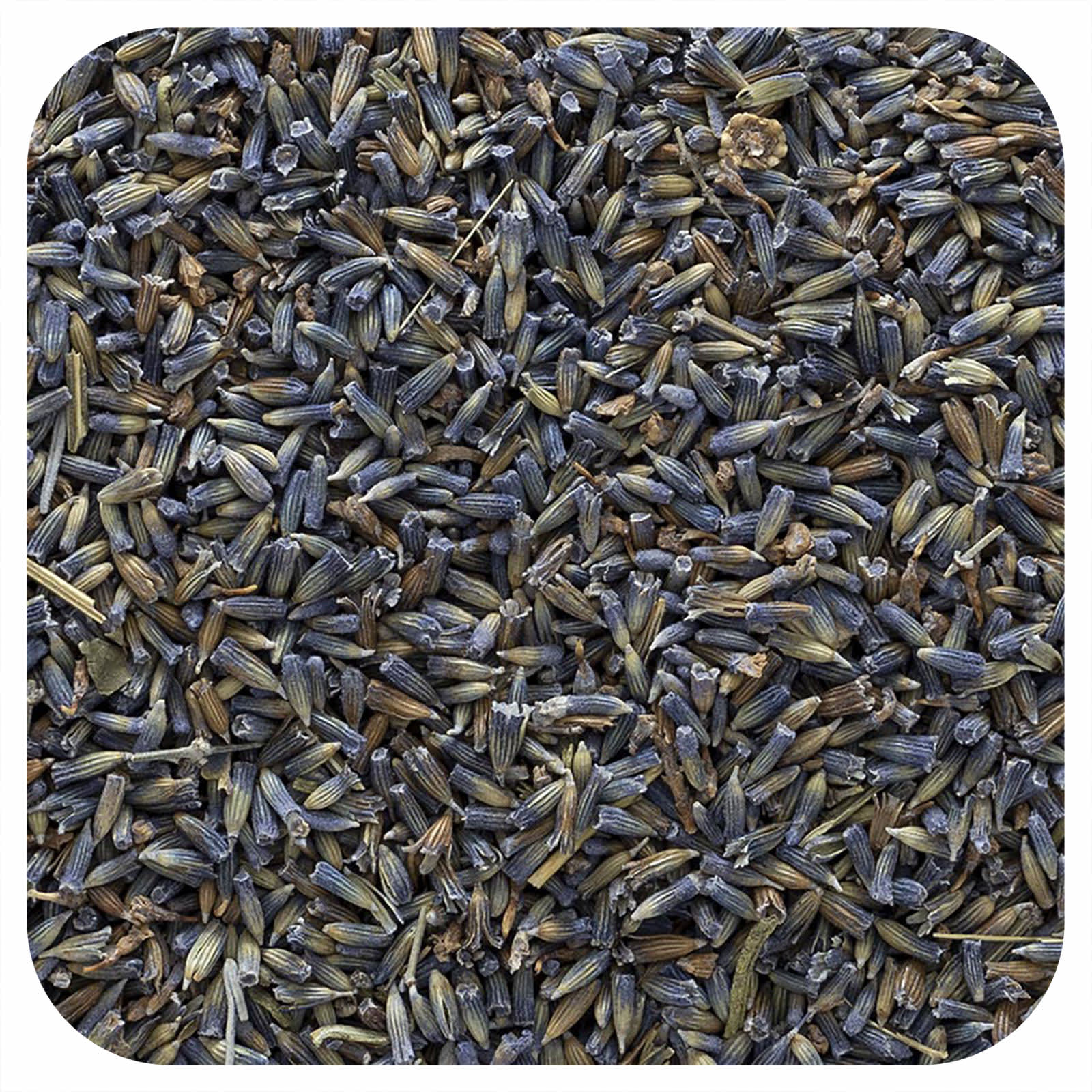 Whole Lavender Flowers for Relaxation and Wellness - 16 oz - Image 1