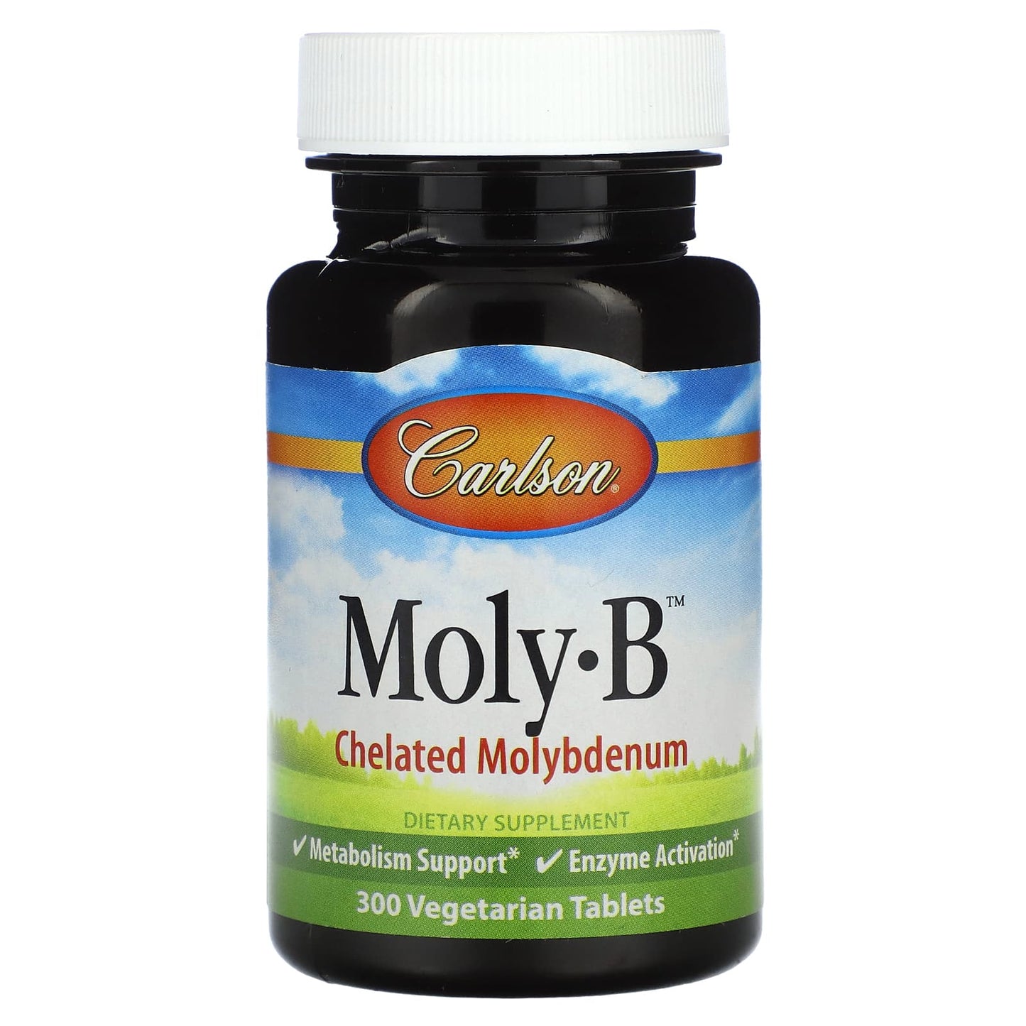 Carlson Molybdenum Supplement for Metabolism Support - 300 Tablets - Image 1